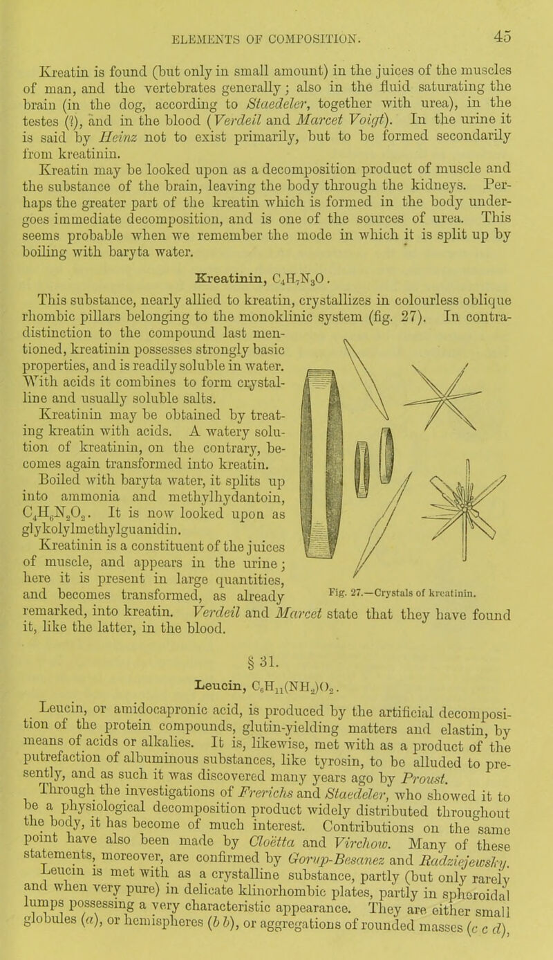 Kreatin is found (but only in small amount) in the juices of tlie muscles of man, and the vertebrates generally; also in the fluid saturating the brain (in the dog, according to Staedeler, together with urea), in the testes (1), and in the blood (Verdeil and Marcet Voigt). In the urine it is said by Heinz not to exist primarily, hut to he formed secondarily from kreatinin. Kreatin may he looked upon as a decomposition product of muscle and the substance of the brain, leaving the body through the kidneys. Per- haps the greater part of the kreatin which is formed in the body under- goes immediate decomposition, and is one of the sources of urea. This seems probable when we remember the mode in which it is split up by boiling with baryta water. Kreatinin, C4H7N30. This substance, nearly allied to kreatin, crystallizes in colourless oblique rhombic pillars belonging to the monoklinic system (fig. 27). In contra- distinction to the compound last men- tioned, kreatinin possesses strongly basic properties, and is readily soluble in water. With acids it combines to form crystal- line and usually soluble salts. Kreatinin may be obtained by treat- ing kreatin with acids. A watery solu- tion of kreatinin, on the contrary, be- comes again transformed into kreatin. Boiled with baryta water, it splits up into ammonia and methylhydantoin, C4H(iK202. It is now looked upon as glykolylmethylguanidin. Kreatinin is a constituent of the juices of muscle, and appears in the urine; here it is present in large quantities, and becomes transformed, as already remarked, into kreatin. Verdeil and Marcet state that they have found it, like the latter, in the blood. Fig. 27.—Crystals of kreatinin. §31. Leucin, C6Hu(NH2)02. Leucin, or amidocapronic acid, is produced by the artificial decomposi- tion of the protein compounds, glutin-yielding matters and elastin, by means of acids or alkalies. It is, likewise, met with as a product of'the putrefaction of albuminous substances, like tyrosin, to be alluded to pre- sently, and as such it was discovered many years ago by Proust. Through the investigations of Frerichs and Staedeler, who showed it to be a physiological decomposition product widely distributed throughout the body, it has become of much interest. Contributions on the same point have also been made by Cloetta and Virchow. Many of these statements, moreover, are confirmed by Gomp-Besanez and RadziejewsTcv. .Leucin is met with as a crystalline substance, partly (but only rareiv and when very pure) in delicate klinorhombic plates, partly in spheroidal lumps possessing a very characteristic appearance. They are either small globules (a), or hemispheres (b b), or aggregations of rounded masses (c c d),