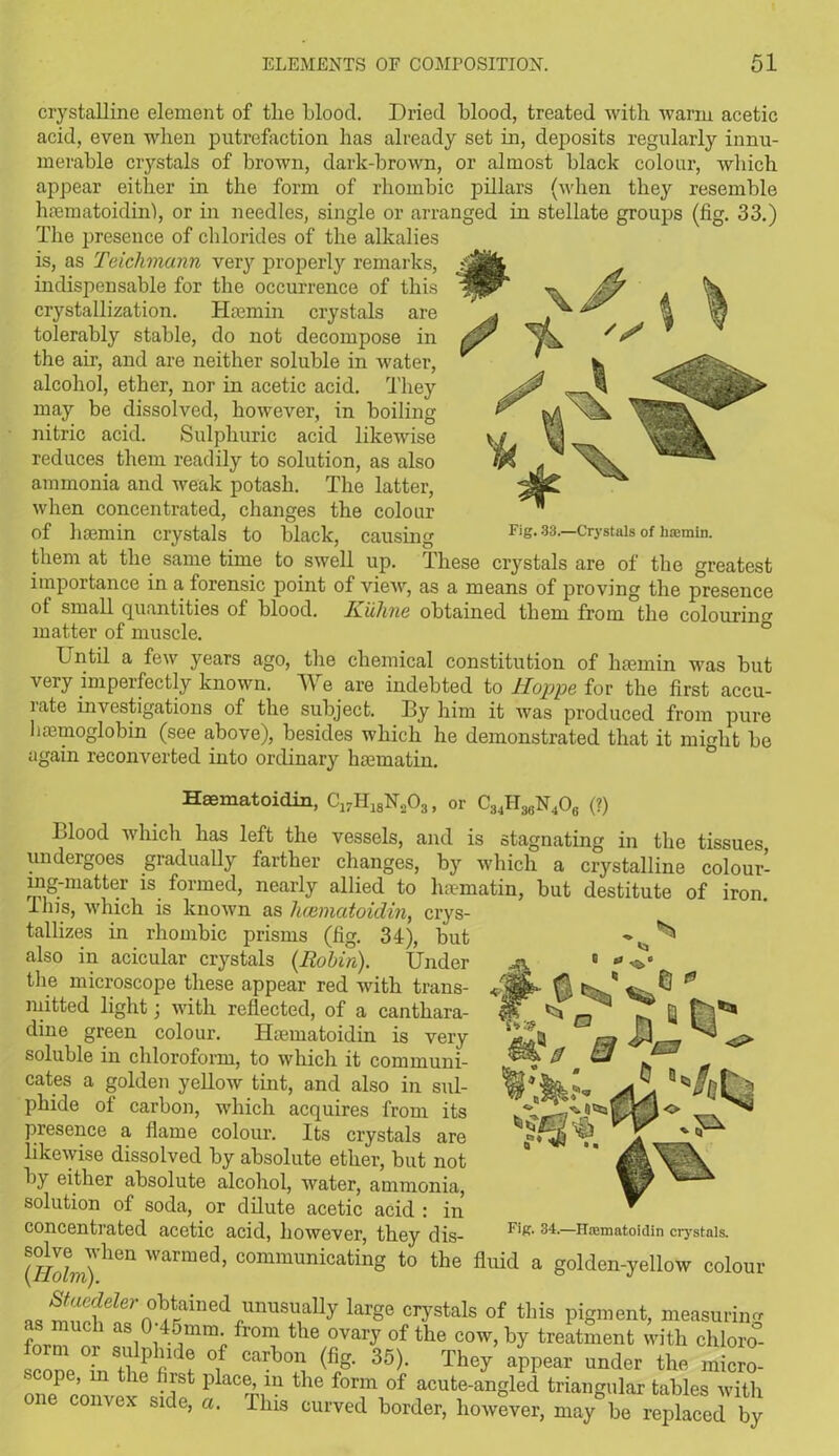 Fig. 33.—Crystals of ha:min. crystalline element of tlie hloocl. Dried blood, treated with warm acetic acid, even when putrefaction has already set in, deposits regularly innu- merable crystals of brown, dark-brown, or almost black colour, which appear either in the form of rhombic pillars (when they resemble haematoidin), or in needles, single or arranged in stellate groups (fig. 33.) The presence of chlorides of the alkalies is, as Teichmann very properly remarks, j indispensable for the occurrence of this '‘wr crystallization. Hsemin crystals are * tolerably stable, do not decompose in the air, and are neither soluble in water, ' alcohol, ether, nor in acetic acid. They may be dissolved, however, in boiling nitric acid. Sulphuric acid likewise reduces them readily to solution, as also ammonia and weak potash. The latter, when concentrated, changes the colour of hsemin crystals to black, causing them at the same time to swell up. These crystals are of the greatest importance in a forensic point of view, as a means of proving the presence of small quantities of blood. Kiiline obtained them from the colouring matter of muscle. L'ntil a few years ago, the chemical constitution of hsemin was but very imperfectly known. We are indebted to Hoppe for the first accu- rate investigations of the subject. By him it was produced from pure haemoglobin (see above), besides which he demonstrated that it might be again reconverted into ordinary haematin. Haematoidin, C17H18N203, or C34H36N406 (?) Blood which has left the vessels, and is stagnating in the tissues undergoes gradually farther changes, by which a crystalline colour- ing-matter is formed, nearly allied to haematin, but destitute of iron. Ibis, which is known as haematoidin, crys- tallizes in rhombic prisms (fig. 34), but also in acicular crystals (Robin). Under the microscope these appear red with trans- mitted light j with reflected, of a canthara- dine green colour. Haematoidin is very soluble in chloroform, to which it communi- cates a golden yellow tint, and also in sul- phide of carbon, which acquires from its presence a flame colour. Its crystals are likewise dissolved by absolute ether, but not by either absolute alcohol, ivater, ammonia, solution of soda, or dilute acetic acid : in concentrated acetic acid, however, they dis- (//IL)Vhen Warmed’ communicating to the fluid a golden-yellow colour as Sc^Tn°ARainedrUnUSiaUy largG Crystals of this Pigment, measuring fin as ° 45mm from the ovary of the cow, by treatment with chloro- sc2 l8fKld! ° Carb0U (fig- 35>- They aPP^ ™der the micro- scope, m the first place, in the form of acute-angled triangular tables with 6 CO11V0X Slde> a• Tins curved border, however, may be replaced by Fig. 34.—Haematoidin crystals.