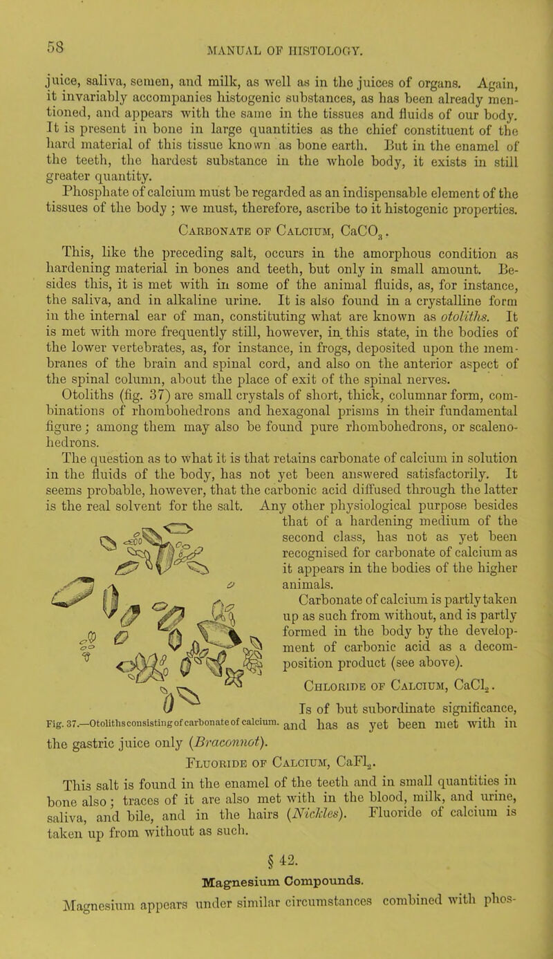 juice, saliva, semen, and milk, as well as in the juices of organs. Again, it invariably accompanies liistogenic substances, as bas been already men- tioned, and appears with the same in the tissues and fluids of our body. It is present in bone in large quantities as the chief constituent of the hard material of this tissue known as bone earth. But in the enamel of the teeth, the hardest substance in the whole body, it exists in still greater quantity. Phosphate of calcium must be regarded as an indispensable element of the tissues of the body ; we must, therefore, ascribe to it histogenic properties. Carbonate of Calcium, CaCO:). This, like the preceding salt, occurs in the amorphous condition as hardening material in bones and teeth, but only in small amount. Be- sides this, it is met with in some of the animal fluids, as, for instance, the saliva, and in alkaline urine. It is also found in a crystalline form in the internal ear of man, constituting what are known as otoliths. It is met with more frequently still, however, in this state, in the bodies of the lower vertebrates, as, for instance, in frogs, deposited upon the mem- branes of the brain and spinal cord, and also on the anterior aspect of the spinal column, about the place of exit of the spinal nerves. Otoliths (fig. 37) are small crystals of short, thick, columnar form, com- binations of rhombohedrons and hexagonal prisms in their fundamental figure; among them may also be found pure rhombohedrons, or scaleno- liedrons. The question as to what it is that retains carbonate of calcium in solution in the fluids of the body, has not yet been answered satisfactorily. It seems probable, however, that the carbonic acid diffused through the latter is the real solvent for the salt. Any other physiological purpose besides that of a hardening medium of the second class, has not as yet been recognised for cai’bonate of calcium as it appears in the bodies of the higher animals. Carbonate of calcium is partly taken up as such from without, and is partly formed in the body by the develop- ment of carbonic acid as a decom- position product (see above). Chloride of Calcium, CaCl2. Is of but subordinate significance, Fig. 37.—Otolithsconsistingofcarbonateof calcium. anq bas as ygfc 'been met with ill the gastric juice only (Braconnot). Fluoride of Calcium, CaFl2. This salt is found in the enamel of the teeth and in small quantities in bone also; traces of it are also met with in the blood, milk, and urine, saliva, and bile, and in the hairs (NicJcles). Fluoride of calcium is taken up from without as such. §42. Magnesium Compounds. Magnesium appears under similar circumstances combined with phos-