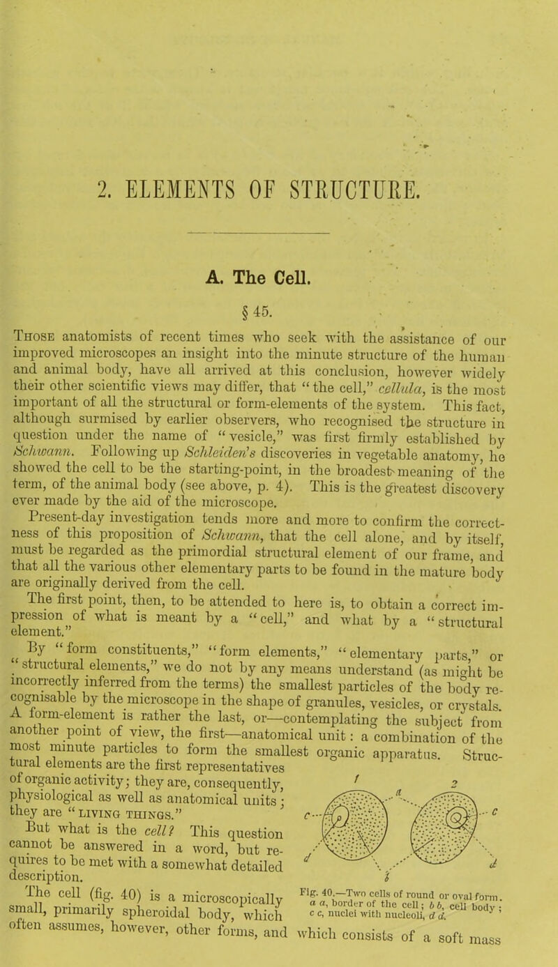 2. ELEMENTS OF STRUCTURE. A. The Cell. §45. Those anatomists of recent times who seek with the assistance of our improved microscopes an insight into the minute structure of the human and animal body, have all arrived at this conclusion, however widely their other scientific views may differ, that “ the cell,” cellula, is the most important of all the structural or form-elements of the system. This fact although surmised by earlier observers, who recognised the structure in question under the name of “vesicle,” was first firmly established by Schwann. Following up Schleideris discoveries in vegetable anatomy, he showed the cell to be the starting-point, in the broadesfi meaning of 'the term, of the animal body (see above, p. 4). This is the greatest discovery ever made by the aid of tbe microscope. Present-day investigation tends more and more to confirm the correct- ness of this proposition of Schwann, that the cell alone, and by itself, must be regarded as the primordial structural element of our frame, and that all the various other elementary parts to be found in the mature body are originally derived from the cell. The first point, then, to be attended to here is, to obtain a correct im- pression of what is meant by a “cell,” and what by a “structural element. by “form constituents,” “form elements,” “elementary parts,” or structural elements,” we do not by any means understand (as mi edit be incorrectly inferred from the terms) the smallest particles of the body re- cognisable by the microscope in the shape of granules, vesicles, or crystals. A form-element is rather the last, or—contemplating the subject from another point of view, the first—anatomical unit: a combination of the most minute particles to form the smallest organic apparatus. Struc- tural elements are the first representatives of organic activity; they are, consequently, physiological as well as anatomical units ■ they are “living things.” £>ut what is the cell? This question cannot he answered in a word, but re- quires to be met with a somewhat detailed description. Ihe cell (fig. 40) is a microscopically small, primarily spheroidal body, which - - ™„u„. often assumes, however, other forms, and which consists of a soft mass Fig. 40.—Two cells of round or oval form a a, border of the cell; b b, cell body • c c, nuclei with nucleoli, d d