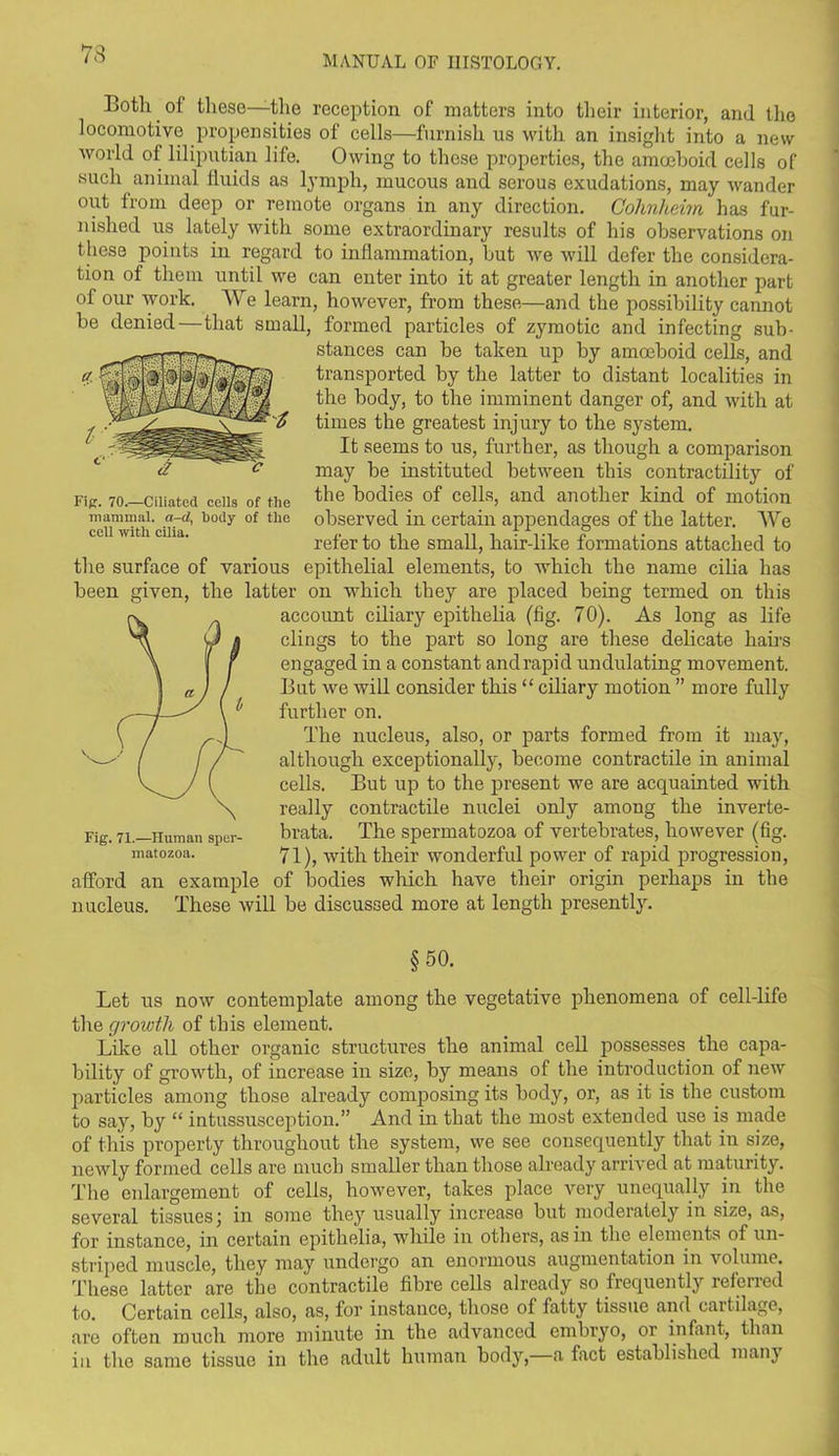 73 Both ol these—the reception of matters into their interior, and the locomotive propensities of cells—furnish us with an insight into a new world of liliputian life. Owing to those properties, the amoeboid cells of such animal fluids as lymph, mucous and serous exudations, may wander out from deep or remote organs in any direction. Cohnheiin has fur- nished us lately with some extraordinary results of his observations on these points in regard to inflammation, but we will defer the considera- tion of them until we can enter into it at greater length in another part of our work. We learn, however, from these—and the possibility cannot be denied—that small, formed particles of zymotic and infecting sub- stances can be taken up by amoeboid cells, and transported by the latter to distant localities in the body, to the imminent danger of, and with at times the greatest injury to the system. It seems to us, further, as though a comparison may be instituted between this contractility of the bodies of cells, and another kind of motion observed in certain appendages of the latter. We refer to the small, hair-like formations attached to the surface of various epithelial elements, to which the name cilia has been given, the latter on which they are placed being termed on this accoimt ciliary epithelia (fig. 70). As long as life clings to the part so long are these delicate hail's engaged in a constant and rapid undulating movement. But we will consider this “ ciliary motion ” more fully further on. The nucleus, also, or parts formed from it may, although exceptionally, become contractile in animal cells. But up to the present we are acquainted with really contractile nuclei only among the inverte- brata. The spermatozoa of vertebrates, however (fig. 71), with their wonderful power of rapid progression, afford an example of bodies which have their origin perhaps in the nucleus. These will be discussed more at length presently. §50. Let us now contemplate among the vegetative phenomena of cell-life the growth of this element. Like all other organic structures the animal cell possesses the capa- bility of growth, of increase in size, by means of the introduction of new particles among those already composing its body, or, as it is the custom to say, by “ intussusception.” And in that the most extended use is made of this property throughout the system, we see consequently that in size, newly formed cells are much smaller than those already arrived at maturity. The enlargement of cells, however, takes place very unequally in the several tissues j in some they usually increase but moderately in size, as, for instance, in certain epithelia, while in others, as in the elements of un- striped muscle, they may undergo an enormous augmentation in t olume. These latter are the contractile fibre cells already so frequently referred to. Certain cells, also, as, for instance, those ol fatty tissue and caitilage, are often much more minute in the advanced embryo, or infant, than in the same tissue in the adult human body,—a fact established many Fig. 71.—Human sper- matozoa. Fig. 70.—Ciliated cells of the mammal, a-d, body of tho cell with cilia.