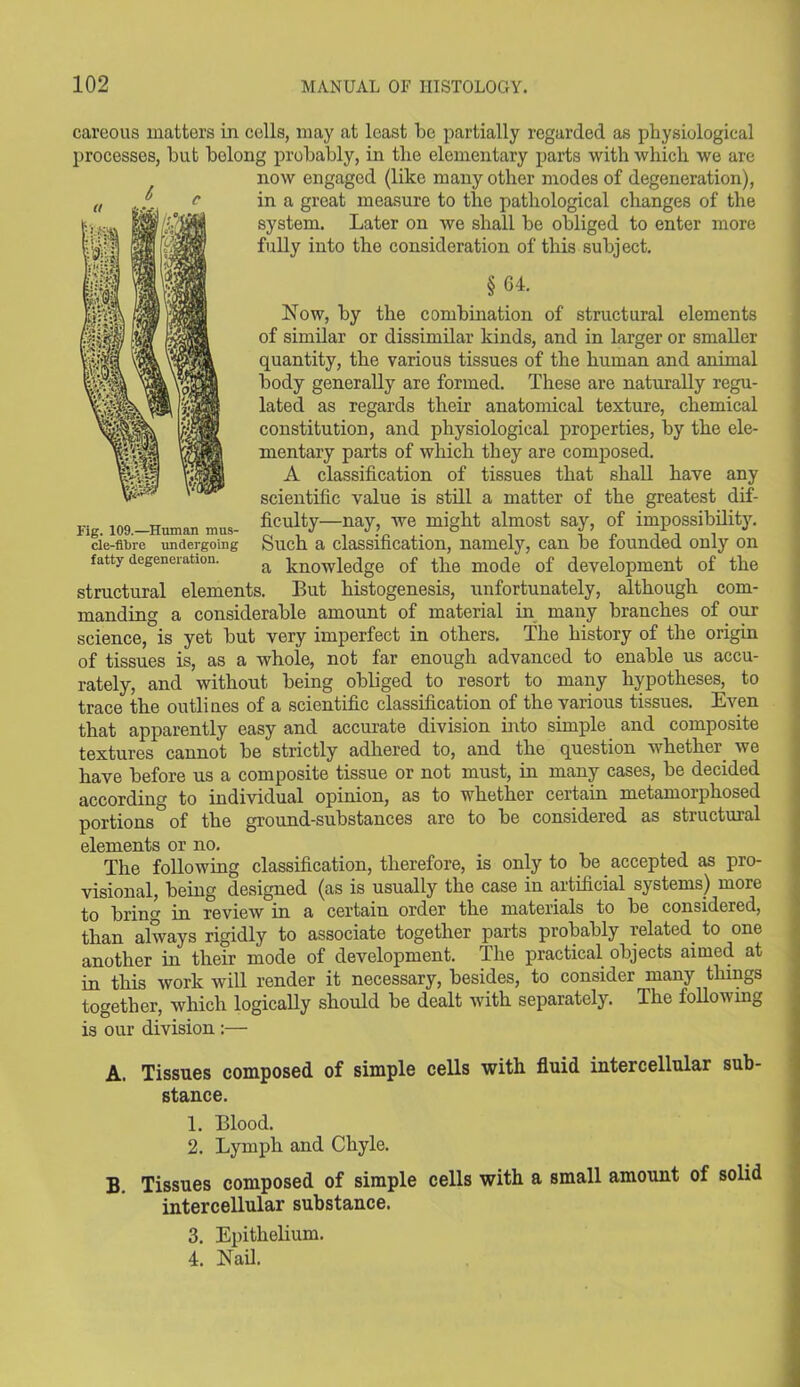 careous matters in cells, may at least be partially regarded as physiological processes, but belong probably, in the elementary parts with which we are now engaged (like many other modes of degeneration), in a great measure to the pathological changes of the system. Later on we shall be obliged to enter more fully into the consideration of this subject. § 64. Now, by the combination of structural elements of similar or dissimilar kinds, and in larger or smaller quantity, the various tissues of the human and animal body generally are formed. These are naturally regu- lated as regards their anatomical texture, chemical constitution, and physiological properties, by the ele- mentary parts of which they are composed. A classification of tissues that shall have any scientific value is still a matter of the greatest dif- ... inQ „mQ„ mno ficulty—nay, we might almost say, of impossibility, cie-fibre undergoing Such a classification, namely, can be founded only on fatty degeneration. a knowledge of the mode of development of the structural elements. But histogenesis, unfortunately, although com- manding a considerable amount of material in many branches of our science, is yet but very imperfect in others. The history of the origin of tissues is, as a whole, not far enough advanced to enable us accu- rately, and without being obliged to resort to many hypotheses, to trace the outlines of a scientific classification of the various tissues. Even that apparently easy and accurate division into simple and composite textures cannot be strictly adhered to, and the question whether we have before us a composite tissue or not must, in many cases, be decided according to individual opinion, as to whether certain metamorphosed portions° of the ground-substances are to be considered as structural elements or no. The following classification, therefore, is only to be accepted as pro- visional, being designed (as is usually the case in artificial systems) more to brine in review in a certain order the materials to be considered, than always rigidly to associate together parts probably related to one another in their mode of development. The practical objects aimed at in this work will render it necessary, besides, to consider many things together, which logically should be dealt with separately. The following is our division :— A. Tissues composed of simple cells with fluid intercellular sub- stance. 1. Blood. 2. Lymph and Chyle. B. Tissues composed of simple cells with a small amount of solid intercellular substance. 3. Epithelium. 4. Nail.