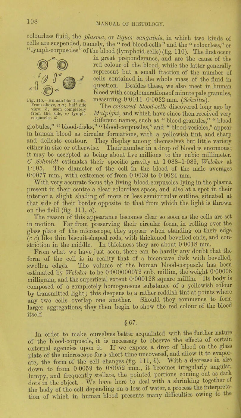 MANUAL OF HISTOLOGY. Fig. 110.—Human blood-cells. From above, a a; half side view% b; seen completely from the side, c; lymph- corpuscles, d. colourless fluid, the plasma, or liquor sanguinis, in which two kinds of cells are suspended, namely, the “ red blood-cells ” and the “ colourless,” or ‘‘ lymph-corpuscles ” of the blood (lymplioid-cells) (fig. 110). The first occur in great preponderance, and are the cause of the red colour of the blood, while the latter generally represent but a small fraction of the number of cells contained in the whole mass of the fluid in question. Besides these, we also meet in human blood with conglomerations of minute pale granules, measuring O'OOl 1-0-0022 mm. (Schultze). The coloured blood-cells discovered long ago by Malpighi, and which have since then received very different names, such as “ blood-granides,” “blood globules,” “ blood-disks,” “ blood-corpuscles,” and “ blood-vesicles,” appear in human blood as circular formations, with a yellowish tint, and sharp and delicate contour. They display among themselves but little variety either in size or otherwise. Their number in a drop of blood is enormous; it may be accepted as being about five millions to the cubic millimeter. C. Schmidt estimates their specific gravity at 1'088-1’089, Wetcher at IT05. The diameter of the cell in the blood of the male averages 0'0077 mm., with extremes of from 0'0039 to 0'0024 mm. With very accurate focus the living blood-corpuscles lying in the plasma present in their centre a clear colourless space, and also at a spot in their interior a slight shading of more or less semicircular outline, situated at that side of their border opposite to that from which the light is thrown on the field (fig. Ill, a). The reason of this appearance becomes clear so soon as the cells are set in motion. Tar from preserving then circular form, in rolling over the glass plate of the microscope, they appear when standing on then edge (c c) like thin biscuit-shaped rods, with thickened bevelled ends, and con- striction in the middle. In thickness they are about O'OOl8 mm. From what we have just seen, there can be hardly any doubt that the form of the cell is in reality that of a biconcave disk with bevelled, swollen edges. The volume of the human blood-corpuscle has been estimated by Welcker to be 0'000000072 cub. millim, the weight O'OOOOS milligram, and the superficial extent 0'000128 square millim. Its body is composed of a completely homogeneous substance of a yellowish colour by transmitted light; this deepens to a rather reddish tint at points where any two cells overlap one another. Should they commence to form larger aggregations, they then begin to show the red colour of the blood itself. §67. In order to make ourselves better acquainted with the further nature of the blood-corpuscle, it is necessary to observe the effects of certain external agencies upon it. If we expose a drop of blood on the glass plate of the microscope for a short time uncovered, and allow it to evapor- ate, the form of the cell changes (fig. Ill, b). With a decrease in size down to from 0'0059 to 0'0052 mm., it becomes irregularly angular, lumpy, and frequently stellate, the pointed portions coming out as dark dots in the object. We have here to deal with a shrinking together o the body of the cell depending on a loss of water, a process the interpreta- tion of which in human blood presents many difficulties owing to the