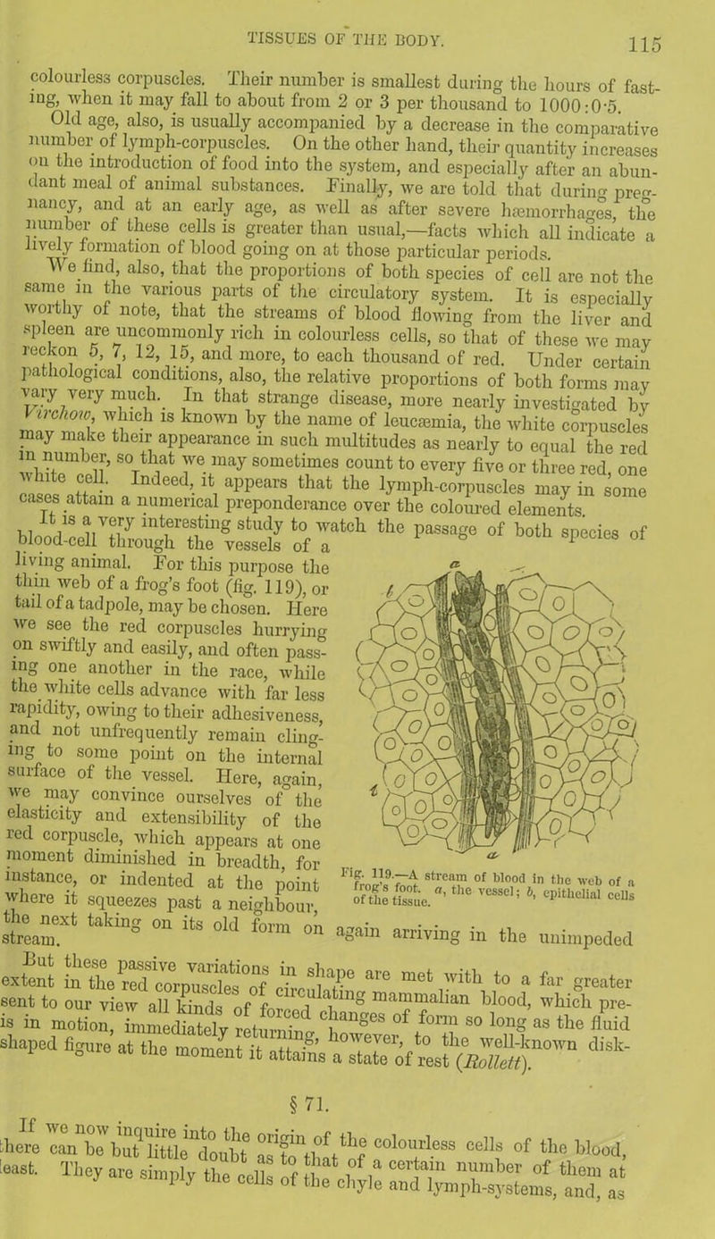 colourless corpuscles. Their number is smallest during the hours of fast- iug, when it may fall to about from 2 or 3 per thousand to 1000:0-5. Old age, also, is usually accompanied by a decrease in the comparative number of lymph-corpuscles. On the other hand, their quantity increases ou the introduction of food into the system, and especially after an abun- dant meal of animal substances. Finally, we are told that during preg- nancy, and at an early age, as well as after severe haemorrhages tloe number of these cells is greater than usual,—facts which all indicate a lively formation of blood going on at those particular periods. V\ e find, also, that the proportions of both species of cell are not the same in the various parts of the circulatory system. It is especially Avoithy of note, that the streams of blood flowing from the liver and spleen are uncommonly rich in colourless cells, so that of these we mav reckon 5, 7, 12, 15, and more, to each thousand of red. Under certain pathological conditions, also, the relative proportions of both forms mav vary very much. In that strange disease, more nearly investigated by ViTdww which is known by the name of leucamiia, the white corpuscles may make their appearance in such multitudes as nearly to equal the red m number, so that we may sometimes count to every five or three red one * 6 ,C,e Indeed, it appears that the lymph-corpuscles may in some cases attain a numerical preponderance over the colom-ed elements At 18 * v“y interesting study to watch the passage of both species of blood-cell through the vessels of a P living animal. For this purpose the thin web of a frog’s foot (fig. 119), or tail of a tadpole, may be chosen. Here we see the red corpuscles hurrying on swiftly and easily, and often pass- ing one another in the race, while the white cells advance with far less rapidity, owing to their adhesiveness, and not unfrequently remain cling- ing to some point on the internal surface of the vessel. Here, again, we may convince ourselves of°the elasticity and extensibility of the red corpuscle, which appears at one moment diminished in breadth, for instance, or indented at the point where it squeezes past a neighbour, steam!** 0“ °ld &rm on a8ain riving in the unimpeded <22 !*>».?• f % greater Fi»w39 r^ stream of bl00d in the web of a ofthe tissue. vessel’ eP*thellal cells extent in the red corpuscles of rirmlof met .1™ to a far greater sent to our view all kinds of for i \ mar?ma !an blood, which pre- is in motion, LmedUwv r reZ, ' 'SK °f &rm 80 long aa «>e fluid shaped figure at the moment it attains aXe of resf^S^^ §71. here can bo but UtU^doifbt coIo,!1'1.ess celIs of thc Wood, eask They - *»*- 5224,: ::