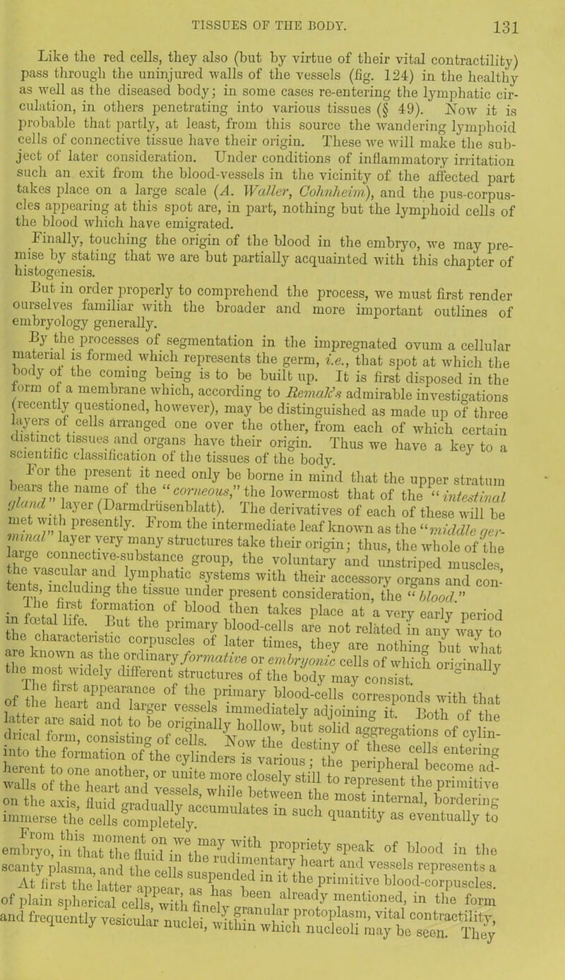 Like the red cells, they also (but by virtue of their vital contractility) pass through the uninjured walls of the vessels (fig. 124) in the healthy as well as the diseased body; in some cases re-entering the lymphatic cir- culation, in others penetrating into various tissues (§ 49). How it is probable that partly, at least, from this source the wandering lymphoid cells of connective tissue have their origin. These wre will make the sub- ject of later consideration. Under conditions of inflammatory irritation such an exit from the blood-vessels in the vicinity of the affected part takes place on a large scale (A. Waller, Cohnheim), and the pus-corpus- cles appearing at this spot are, in part, nothing but the lymphoid cells of the blood which have emigrated. Finally, touching the origin of the blood in the embrj^o, we may pre- mise by stating that we are but partially acquainted with this chapter of histogenesis. 1 But in order properly to comprehend the process, we must first render ourselves familiar with the broader and more important outlines of embryology generally. By the processes of segmentation in the impregnated ovum acellular material is formed which represents the germ, i.e., that spot at which the body ot the coming being is to be built tip. It is first disposed in the form of a membrane which, according to Remaps admirable investigations (recently questioned, however), may be distinguished as made up of three layers of cells arranged one over the other, from each of which certain distinct tissues and organs have their origin. Thus we have a key to a scientific classification of the tissues of the body. I or the present it need only be borne in mind that the upper stratum bears the name of the “ corneous;' the lowermost that of the  intestinal (J (l . . ayer (Barmdrusenblatt). The derivatives of each of these will he met with presently. From the intermediate leaf known as the “middle qer- vnnal layer very many structures take their origin; thus, the whole of the laige connective-substance group, the voluntary and unstriped muscles ie vascular and lymphatic systems with their accessory organs and con- tents, including the tissue under present consideration, the “ blood ” ■ f ? i V-? lormation of Wood then takes place at a very early period fcWial llff' ■ fLut th° pi;imary Wood-cells are not related In any way to the characteristic corpuscles of later times, they are nothin^ but what are known as the ordinary formative or embryoniccells of which oHdnalv the most widely different structures of the body may consist 2 7 ie first appearance of the primary blood-cells corresponds with that of the heart and larger vessels immediately adjoinin- it Both of The a ter are said not to be originally hollow, hit solid dncal form, consisting of cells. How the destinv nf tW ii P illpiiiiii emb™ i?L7H‘j,r,ry 7“ FroP™‘ysPeak of blood in tl.e scanty plasma and tho cX ! rud;Y®‘ary heart and vessels represents a At^st flatter apptr TC^e “ ** Mood-ctrpuscles. and frequently vesicular