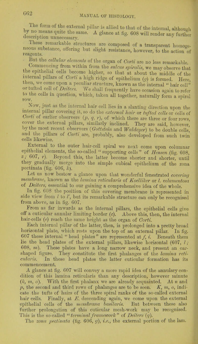 GH2 lhe form of the external pillar is allied to that of the internal, although by no means quite the same. A glance at fig. 608 will render any further description unnecessary. y These remarkable structures are composed of a transparent homoge- neous substance, offering hut slight resistance, however, to the action of reagents. Jut the cellular elements of the organ of Corti are no less remarkable Commencing from within from the sulcus spiralis, we may observe that the epithelial cells become higher, so that at about the middle of the internal pillars of Corti a high ridge of epithelium (g) is formed. Here, then, we come upon a peculiar structure, known as the internal “ hair cell” or tufted cell of Deiters. We shall frequently have occasion again to refer to the cells m question, which, taken all together, naturally form a spiral row Jvou, just as the internal hair cell lies in a slanting direction upon the internal pillar covering it, so do the external hair or tufted cells or cells of Corti of earlier observers (p, q, r), of which there are three or four rows, cover the external pillars, similarly inclined. They are said, however, by the most recent observers {Gottstein and Waldeyer) to be double cells’ and the pillars of Corti are, probably, also developed from such twin cells likewise. External to the outer hair-cell spiral we next come upon columnar epithelial elements, the so-called “ supporting cells ” of Hensen (fig. 608, z, 607, ?•). Beyond this, the latter become shorter and shorter, until they gradually merge into the simple cubical epithelium of the zona pectinata (fig. 606, lc). Let us now bestow a glance upon that wonderful fenestrated covering membrane, known as the lamina reticularis of Koellilcer or l. velamentosa of Deiters, essential to our gaining a comprehensive idea of the whole. In fig. 608 the position of this covering membrane is represented in side view from l to l', but its remarkable structure can only be recognised from above, as in fig. 607. From as far inwards as the internal pillars, the epithelial cells give off a cuticular annular limiting border (c). Above this, then, the internal hair-cells (e) reach the same height as the organ of Corti. Each internal pillar of the latter, then, is prolonged into a pretty broad horizontal plate, which rests upon the top of an external pillar. In fig. 607 these internal “ head plates” are represented at f, i. Beneath them lie the head plates of the external pillars, likewise horizontal (607, l ; 608, m). These plates have a long narrow neck, and present an oar- shaped figure. They constitute the first phalanges of the lamina reti- cularis. In these head plates the latter cuticular formation has its commencement. A glance at fig. 607 will convey a more rapid idea of the annulary con- dition of this lamina reticularis than any description, however minute (Jc, m, o'). With the first phalanx we are already acquainted. At n and p, the second and third rows of phalanges are to be seen. K, in, o, indi- cate the tufts of hairs of the three spiral ranks of the so-called external hair cells. Finally, at E, descending again, we come upon the external epithelial cells of the membrana basilaris. But between these also further prolongation of this cuticular mesh-work may be recognised. This is the so-called “ terminal framework ” of Deiters (q). The zona pectinata (fig. 606, g), i.e., the external portion of the lam.