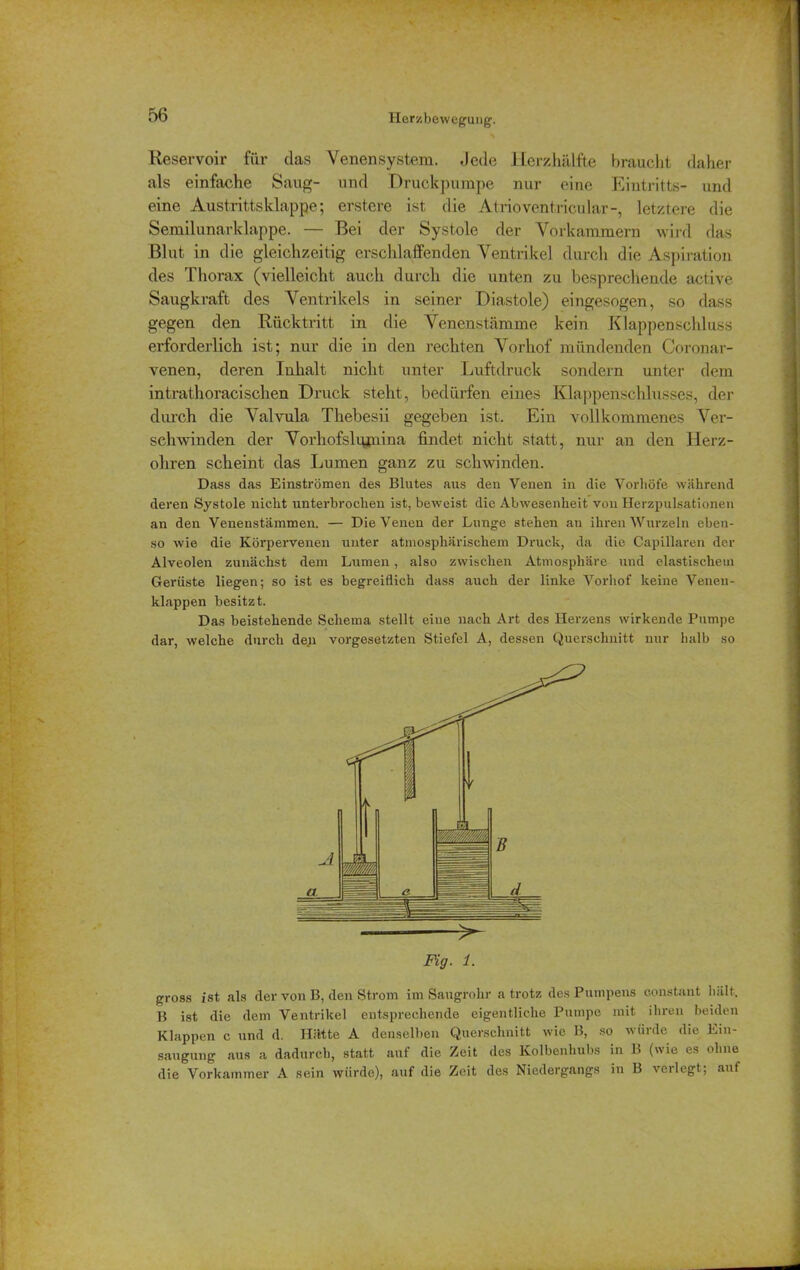 Reservoir für das Venensystem. Jede Herzhälfte braucht daher als einfache Sang- und Druckpumpe nur eine Eintritts- und eine Austritts klappe; erstere ist die Atrioventricular-, letztere die Semilunarklappe. — Bei der Systole der Vorkammern wird das Blut in die gleichzeitig erschlaffenden Ventrikel durch die Aspiration des Thorax (vielleicht auch durch die unten zu besprechende active Saugkraft des Ventrikels in seiner Diastole) eingesogen, so dass gegen den Rücktritt in die Venenstämme kein Klappenschluss erforderlich ist; nur die in den rechten Vorhof mündenden Coronar- venen, deren Inhalt nicht unter Luftdruck sondern unter dem intrathoracisehen Druck steht, bedürfen eines Klappenschlusses, der durch die Valvula Thebesii gegeben ist. Ein vollkommenes Ver- schwinden der Vorhofslumina findet nicht statt, nur an den Herz- ohren scheint das Lumen ganz zu schwinden. Dass das Einströmen des Blutes aus den Venen in die Vorböfe während deren Systole nicht unterbrochen ist, beweist die Abwesenheit von Herzpulsationen an den Veneustämmen. — Die Venen der Lunge stehen an ihren Wurzeln eben- so wie die Körpervenen unter atmosphärischem Druck, da die Capillaren der Alveolen zunächst dem Lumen, also zwischen Atmosphäre und elastischem Gerüste liegen; so ist es begreiflich dass auch der linke Vorhof keine Venen- klappen besitzt. Das beistehende Schema stellt eiue nach Art des Herzens wirkende Pumpe dar, welche durch den Vorgesetzten Stiefel A, dessen Querschnitt nur halb so gross ist als der von B, den Strom im Saugrohr a trotz des Pumpeus constant hält. B ist die dem Ventrikel entsprechende eigentliche Pumpe mit ihren beiden Klappen c und d. Hätte A denselben Querschnitt wie B, so würde die Ein- saugung aus a dadurch, statt auf die Zeit des Kolbenhubs in 13 (wie es ohne die Vorkammer A sein würde), auf die Zeit des Niedergangs in B verlegt; auf