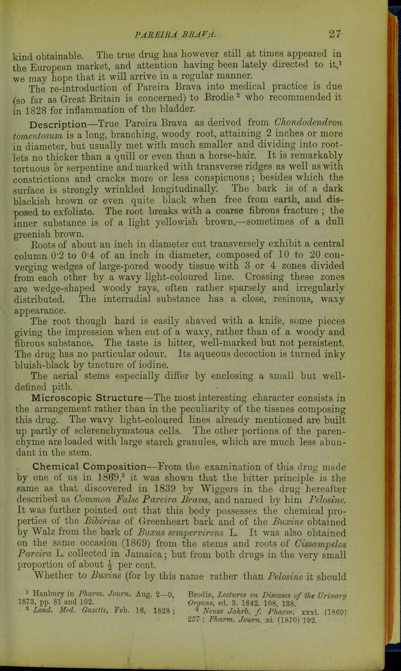 kind obtainable. The true drug has however still at times appeared in the European market, and attention having been lately directed to it,1 we may hope that it will arrive in a regular manner. The re-introduction of Pareira Brava into medical practice is due (so far as Great Britain is concerned) to Brodie 2 who recommended it in 1828 for inflammation of the bladder. Description—True Pareira Brava as derived from Chonclodendron tomentosum is a long, branching, woody root, attaining 2 inches or more in diameter, but usually met with much smaller and dividing into root- lets no thicker than a quill or even than a horse-hair. It is remarkably tortuous or serpentine and marked with transverse ridges as well as with constrictions and cracks more or less conspicuous; besides which the surface is strongly wrinkled longitudinally. The bark is of a dark blackish brown or even quite black when free from earth, and dis- posed to exfoliate. The root breaks with a coarse fibrous fracture ; the inner substance is of a light yellowish brown,—sometimes of a dull greenish brown. Boots of about an inch in diameter cut transversely exhibit a central column 0-2 to 04 of an inch in diameter, composed of 10 to 20 con- verging wedges of large-pored woody tissue with 3 or 4 zones divided from each other by a wavy light-coloured line. Crossing these zones are wedge-shaped woody rays, often rather sparsely and irregularly distributed. The interradial substance has a close, resinous, waxy appearance. The root though hard is easily shaved with a knife, some pieces giving the impression when cut of a waxy, rather than of a woody and fibrous substance. The taste is bitter, well-marked but not persistent. The drug has no particular odour. Its aqueous decoction is turned inky bluish-black by tincture of iodine. The aerial stems especially differ by enclosing a small but well- defined pith. Microscopic Structure—The most interesting character consists in the arrangement rather than in the peculiarity of the tissues composing this drug. The wavy light-coloured lines already mentioned are built up partly of sclerenchymatous cells. The other portions of the paren- chyme ar.e loaded with large starch granules, which are much less abun- dant in the stem. Chemical Composition—From the examination of this drug made by one of us in 1869,3 it was shown that the bitter principle is the same as that discovered in 1839 by Wiggers in the drug hereafter described as Common False Pareira Brava, and named by him Pdosine. It was further pointed out that this body possesses the chemical pro- perties of the Bibirine of Greenheart bark and of the Buxine obtained by Walz from the bark of Buxus sempervirens L. It was also obtained on the same occasion (1869) from the stems and roots of Cissampelos Pareira L. collected in Jamaica; but from both drugs in the very small proportion of about ^ per cent. Whether to Buxine (for by this name rather than Pelosine it should 1 Hanbury in Pharm. Joum. Aug. 2—9, Brodie, Lectures on Diseases of the Urinary 1873, pp. 81 and 102. Oraans, ed. 3. 1842. 108, 138. 5 Lond. Med. Gazette, Feb. 16, 1828 ; s Ncues Jahrb. f. Pharm. xxxi. (1869) 257 ; Pharm. Joum. xi. (1870) 192.