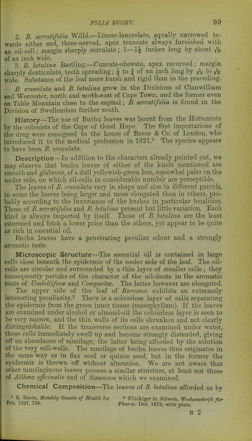 2. B. serratifolia Willd.—Linear-lanceolate, equally narrowed to- wards either end, three-nerved, apex truncate always furnished with an oil-cell; margin sharply serrulate; 1—1^ inches long by about of an inch wide. 3. B. betulina Bartling.—Cuneate-obovate, apex recurved ; margin sharply denticulate, teeth spreading; £ to f of an inch long by ^ to wide. Substance of the leaf more harsh and rigid than in the preceding. B. crenulata and B. betulina grow in the Divisions of Clanwilliam and Worcester, north and north-east of Cape Town, and the former even on Table Mountain close to the capital; B. serratifolia is found in the Division of Swellendam further south. History—The use of Buchu leaves was learnt from the Hottentots by the colonists of the Cape of Good Hope. The first importations of the drug were consigned to the house of Reece & Co. of London, who introduced it to the medical profession in 1821.1 The species appears to have been B. crenulata. Description—In addition to the characters already pointed out, we may observe that buchu leaves of either of the kinds mentioned are smooth and glabrous, of a dull yellowish-green hue, somewhat paler on the under side, on which oil-cells in considerable number are perceptible. The leaves of B. crenulata vary in shape and size in different parcels, in some the leaves being larger and more elongated than in others, pro- bably according to the luxuriance of the bushes in particular localities. Those of B. serratifolia and B. betulina present but little variation. Each kind is always imported by itself. Those of B. betulina are the least esteemed and fetch a lower price than the others, yet appear to be quite as rich in essential oil. Buchu leaves have a penetrating peculiar odour and a strongly .aromatic taste. Microscopic Structure—The essential oil is contained in large cells close beneath the epidermis of the under side of the leaf. The oil- cells are circular and surrounded by a thin layer of smaller cells ; they consequently partake of the character of the oil-ducts in the aromatic roots of Umbelliferce and Compositor. The latter however are elongated. The upper side of the leaf of Barosma exhibits an extremely interesting peculiarity.2 There is a colourless layer of cells separating the epidermis from the green inner tissue (mesophyllum). If the leaves are examined under alcohol or almond-oil the colourless layer is seen to be very narrow, and the thin walls of its cells shrunken and not clearly distinguishable. If the transverse sections are examined under water, these cells immediately swell up and become strongly distended, giving off an abundance of mucilage, the latter being afforded by the solution of the very cell-walls. The mucilage of buchu leaves thus originates in the same way as in flax seed or quince seed, but in the former the epidermis is thrown off without alteration. We are not aware that other mucilaginous leaves possess a similar structure, at least not those of Althcea officinalis and of Sesamum which we examined. Chemical Composition—The leaves of B. betulina afforded us by 1 R. Reece, Monthly Gazette of Health for 2 Fliickiger in Schweiz. Wochenschrift fur Feb. 1821. <99. Pharm. Dec. 1873, with plate. H 2