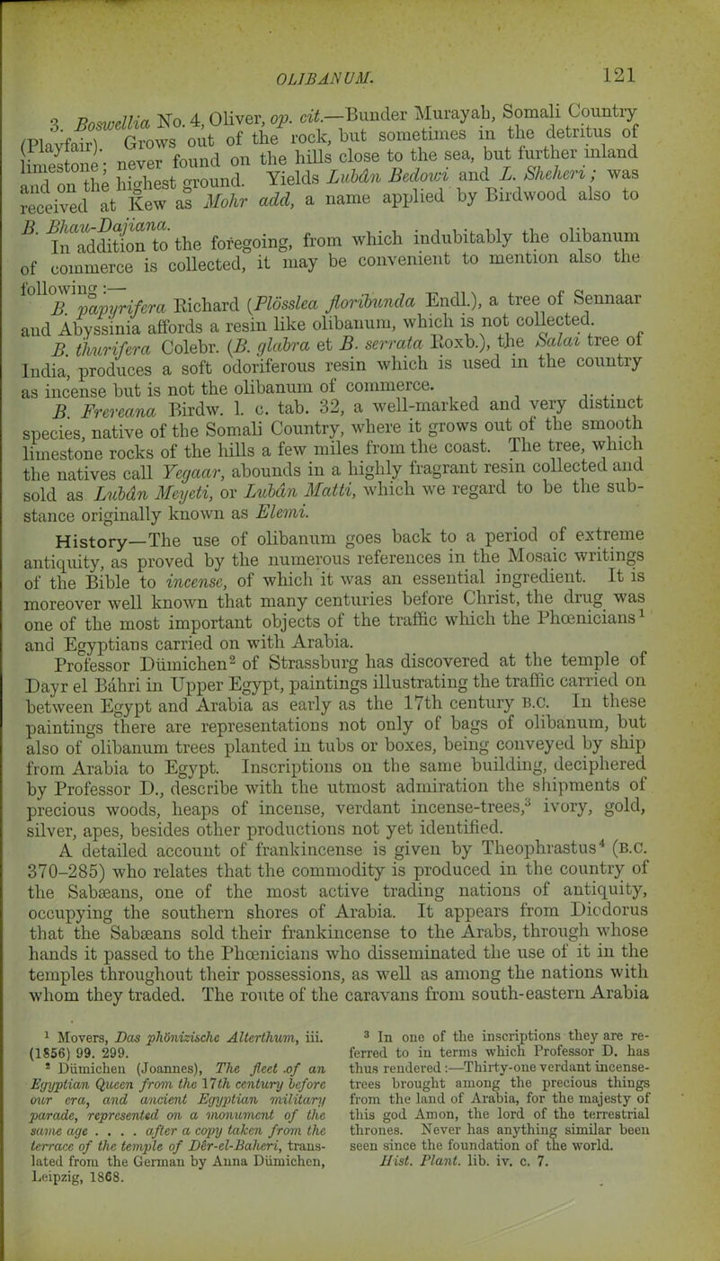3 Boswellia No. 4, Oliver, op. at.—Bunder Murayah, Somali Country (Playfair) Grows out of the rock, hut sometimes m the detritus of limestone'- never found on the hills close to the sea, but further inland a“d on he highest ground. Yields Lubdn Bedonn and1 ZShehen; was received at Kew as Mohr add, a name applied by Budwood also to R fnTd’dition’to the foregoing, from which indubitably the olibanum of commerce is collected, it may be convenient to mention also the ioHo^ving {FWsslm fiornUnda Endl.), a tree of Sennaar and Abyssinia affords a resin like olibanum, which is not collected B thurifera Colebr. (B. glabra et B. serrata Boxb.), the Salai tree of India, produces a soft odoriferous resin which is used in the country as incense but is not the olibanum of commerce. B. Frereana Birdw. 1. c. tab. 32, a well-marked and very distinct species, native of the Somali Country, where it grows out of the smooth limestone rocks of the hills a few miles from the coast. The tree, which the natives call Ycgaar, abounds in a highly fragrant resin collected and sold as Lubdn Mcydi, or Lubdn Matti, which we regard to be the sub- stance originally known as Elemi. History—The use of olibanum goes back to a period of extreme antiquity, as proved by the numerous references in the Mosaic wntings of the Bible to incense, of which it was an essential ingredient. It is moreover well known that many centuries before Christ, the diug was one of the most important objects of the traffic which the Phoenicians1 and Egyptians carried on with Arabia. Professor Diimichen2 * of Strassburg has discovered at the temple of Dayr el Bahri in Upper Egypt, paintings illustrating the traffic carried on between Egypt and Arabia as early as the 17th century b.c. In these paintings there are representations not only of bags of olibanum, but also of olibanum trees planted in tubs or boxes, being conveyed by ship from Arabia to Egypt. Inscriptions on the same building, deciphered, by Professor D., describe with the utmost admiration the shipments of precious woods, heaps of incense, verdant incense-trees/ ivory, gold, silver, apes, besides other productions not yet identified. A detailed account of frankincense is given by Theophrastus4 (b.c. 370-285) who relates that the commodity is produced in the country of the Sabseans, one of the most active trading nations of antiquity, occupying the southern shores of Arabia. It appears from Diodorus tliat the Sabaeans sold their frankincense to the Arabs, through whose hands it passed to the Phoenicians who disseminated the use of it in the temples throughout their possessions, as well as among the nations with whom they traded. The route of the caravans from south-eastern Arabia 1 Movers, Dos pliUnizische Alterthum, iii. (1S56) 99. 299. * Diimichen (Joannes), The fleet .of an Egyptian Queen from the 17 th century before our era, and ancient Egyptian military parade, represented on a monument of the same age .... after a copy taken from the terrace of the temple of Der-el-Baheri, trans- lated front the German by Anna Diimichen, Leipzig, 1868. 3 In one of the inscriptions they are re- ferred to in terms which Professor D. has thus rendered:—Thirty-one verdant incense- trees brought among the precious things from the land of Arabia, for the majesty of this god Am on, the lord of the terrestrial thrones. Never has anything similar been seen since the foundation of the world. Hist. Plant, lib. iv. c. 7.