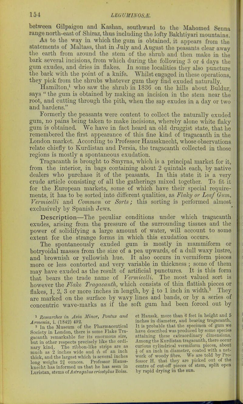 between Gilpaigon and Kashan, southward to the Mahomed Senna range north-east of Shiraz, thus including the lofty Bakhtiyari mountains. As to the way in which the gum is obtained, it appears from the statements ot Maltass, that in July and August the peasants clear away the earth from around the stem of the shrub and then make in the bark several incisions, from which during the following 3 or 4 days the gum exudes, and dries in flakes. In some localities they also puncture the bark with the point of a knife. Whilst engaged in these operations, they pick from the shrubs whatever gum they find exuded naturally. Hamilton,1 who saw the shrub in 1836 on the hills about Buldur, says “ the gum is obtained by making an incision in the stem near the root, and cutting through the pith, when the sap exudes in a day or two and hardens.” Formerly the peasants were content to collect the naturally exuded gum, no pains being taken to make incisions, whereby alone white flaky gum is obtained. We have in fact heard an old druggist state, that he remembered the first appearance of this fine kind of tragacanth in the London market. According to Professor Haussknecht, whose observations relate chiefly to Kurdistan and Persia, the tragacanth collected in those regions is mostly a spontaneous exudation. Tragacanth is brought to Smyrna, which is a principal market for it, from the interior, in bags containing about 2 quintals each, by native dealers who purchase it of the peasants. In this state it is a very crude article consisting of all the gatherings mixed together. To fit it for the European markets, some of which have their special require- ments, it has to be sorted into different qualities, as Flaky or Leaf Gum, Vermicelli and Common or Sorts; this sorting is performed almost exclusively by Spanish Jews. Description—The peculiar conditions under which tragacanth exudes, arising from the pressure of the surrounding tissues and the power of solidifying a large amount of water, will account to some extent for the strange forms in which this exudation occurs. The spontaneously exuded gum is mostly in mammiform or botryoidal masses from the size of a pea upwards, of a dull waxy lustre, and brownish or yellowish hue. It also occurs in vermiform pieces more or less contorted and very variable in thickness ; some of them may have exuded as the result of artificial punctures. It is this form that bears the trade name of Vermicelli. The most valued sort is however the Flake Tragacanth, which consists of thin flattish pieces or flakes, 1, 2, 3 or more inches in length, by i to 1 inch in width.2 They are marked on the surface by wavy lines and bands, or by a series of concentric wave-marks as if the soft gum had been forced out by 1 Researches in Asia Minor, Pontus and Armenia, i. (1842) 492. 2 In the Museum of the Pharmaceutical Society in London, there is some Flake Tra- gacanth remarkable for its enormous size, but in other respects precisely like the ordi- nary kind. The ribbon-like strips are as much as 2 inches wide and A of an inch thick, and the largest which is several inches long weighs 2| ounces. Professor Hauss- knecht has informed us that he has seen in Luristan, stems of Astragalus eriostylus Boiss. et Haussk. more than 6 feet in height and 5 inches in diameter, and bearing tragacanth. It is probable that the specimen of gum we have described was produced by some species attaining these extraordinary dimensions. Among the Kurdistan tragacanth, there occur curious cylindrical vermiform pieces, about l of an inch in diameter, coated with a net- work of woody fibre. We are told by Pro- fessor H. that they are picked out of the centre of cut-off pieces ol stem, split open by rapid drying in the sun.