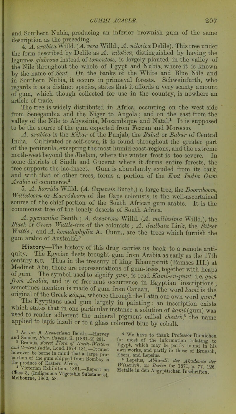 and Southern Nubia,, producing an inferior brownish gum of the same description as the preceding. 4. A. arabica Willd. (A. vera Willd., A. nilotica Delile). This tree under the form described by Delile as A. nilotica, distinguished by having the legumes glabrous instead of tomentose, is largely planted in the valley of the Nile throughout the whole of Egypt and Nubia, where it is known by the name of Sont. On the banks of the White and Blue Nile and in Southern Nubia, it occurs in primaeval forests. Schweinfurth, who regards it as a distinct species, states that it affords a very scanty amount of gum, which though collected for use in the country, is nowhere an article of trade. The tree is widely distributed in Africa, occurring on the west side from Senegambia and the Niger to Angola; and on the east from the valley of the Nile to Abyssinia, Mozambique and Natal.1 It is supposed to be the source of the gum exported from Fezzan and Morocco. A. arabica is the Kilcar of the Punjab, the Babul or Babur of Central India. Cultivated or self-sown, it is found throughout the greater part of the peninsula, excepting the most humid coast-regions, and the extreme north-west beyond the Jhelam, where the winter frost is too severe. In some districts of Sindh and Guzerat where it -forms entire forests, the tree supports the lac-insect. Gum is abundantly exuded from its bark, and with that of other trees, forms a portion of the East India Gum Arabic of commerce.2 5. A. horrida Willd. (A. Capensis Burch.) a large tree, the Doornboom, Wittedoorn or Karrddoorn of the Cape colonists, is the well-ascertained source of the chief portion of the South African gum arabic. It is the commonest tree of the lonely deserts of South Africa. A. pycnantha Benth.; A. decurrens Willd. (A. mollissima Willd.), the Black or Green Wattle-tree of the colonists ; A. dealbata Link, the Silver Wattle ; and A. homalophylla A. Cunn., are the trees which furnish the gum arabic of Australia.3 * * # History The history of this drug carries us back to a remote anti- quity. The Egytian fleets brought gum from Arabia as early as the 17th century B.c. Thus in the treasury of king Rhampsinit (Ramses III.) at Medmet Abu, there are representations of gum-trees, together with heaps of gum. The symbol used to signify gum, is read Kami-cn-punt. i. e. gum from Arabia, and is of frequent occurrence in Egyptian inscriptions ; sometimes mention is made of gum from Canaan. The word kami is the original of the Greek whence through the Latin our own word gum* The Egyptians used gum largely in painting: an inscription exists which states that in one particular instance a solution of kami (gum) was used to render adherent the mineral pigment called chesteb,6 the name applied to lapis lazuli or to a glass coloured blue by cobalt. 1 As var. 0. Kraussiana Benth.—Harvey and Sonder, Flor. Capens. ii. (1861-2) 281. 2 Brandis, Forest Flora of North- Western and Central India, Lond. 1874.181. It must however be borne in mind that a large pro- portion of the gum shipped from Bombay is the produce of Eastern Africa. 3 Victorian Exhibition, 1861.—Report on CTass 3. (Indigenous Vegetable Substances), Melbourne, 1862, 58. 4 We have to thank Professor Diimichen for most of the information relating to Egypt, which may be partly found in his own works, and partly in those of Brugsch, Ebers, and Lepsius. B Lepsius, Abhandl. der Akadenvic der Wissensch. zu Berlin for 1871, p. 77. 126. Metalle in den Aegyptischen Inschriften.