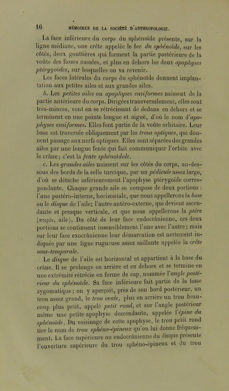 La lace intérieure du corps du sphénoïde présente, sur la ligne médiane, une crête appelée le bec du sphénoïde^ sur les côtés, deux gouttières (|ui forment la partie postérieure de la voûte des fosses nasales, et plus en dehors les deux apophyses ptérygoïdes, sur lesquelles on va revenir. Les faces latérales du corps du sphénoïde donnent implan- tation aux petites ailes et aux grandes ailes. b. Les petites ailes ou apophyses ensiformes naissent de la partie antérieure du corps. Dirigées transversalement, elles sont très-minces, vont en se rétrécissant de dedans en dehors et se terminent en une pointe longue et aiguë, d’où le nom à'apo- physes ensiformes. Elles font partie de la voûte orbitaire. Leur base est traversée obliquement par les trous optiques, qui don- nent passage aux nerfs optiques. Elles sont séparées des grandes ailes par une longue fente qui fait communiquer l’orbite avec le crâne ; c’est la fente sphénoïdale. c. Les grandes ailes naissent sur les côtés du corps, au-des- sous des bords de la selle turcique, par un pédicule assez large, d’où se détache inférieurement l’apophyse ptérygoïde corres- pondante. Chaque grande aile se compose de deux portions : l’une postéro-interne, horizontale, que nous appellerons la base ou le disque de l’aile; l’autre antéro-externe, qui devient ascen- dante et presque verticale, et que nous appellerons la ptère (TT'repdv, aile), Du côté de leur face endocrânienne, ces deux portions se continuent insensiblement l’une avec l’autre; mais sur leur face exocrânienne leur démarcation est nettement in- diquée par une ligne rugueuse assez saillante appelée la crête sous-temporale. Le disque de l’aile est horizontal et appartient à la base du crâne. Il se prolonge en arrière et en dehors et se termine en une extrémité rétrécie en forme de cap, nommée 1 angle posté- rieur du sphénoïde. Sa face inférieure fait partie de la fosse zygomatique ; on y aperçoit, près de son bord postérieur, un trou assez grand, le ti'ou ovale, plus en arrière un trou beau- coup plus petit, appelé petit rond, et sur l’angle postérieur même une petite apophyse descendante, appelée \'épine du sphénoïde. Du voisinage de cette apophyse, le trou petit rond lire le nom de trou sphéno-épineux qu’on lui donne fréquem- ment. La face supérieure ou endocrânienne du disque présente l’ouverture supérieure du trou sphéno-épineux et du trou