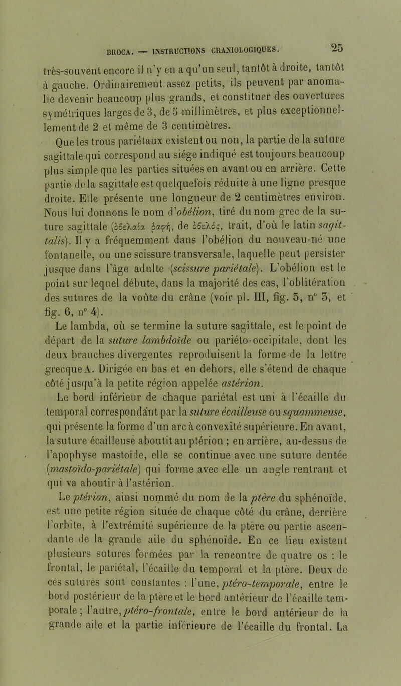 très-souvent encore il n’y en a qu’un seul, tantôt à droite, tantôt à gauche. Orcliuairenient assez petits, ils peuvent par anonea- lie devenir beaucoup plus grands, et constituer des ouvertures symétriques larges de 3, deo millimètres, et plus exceptionnel- lement de 2 et même de 3 centimètres. Que les trous pariétaux existent ou non, la partie de la suture sagittale qui correspond au siège indiqué est toujours beaucoup plus simple que les parties situées en avant ou en arrière. Cette partie delà sagittale est quelquefois réduite à une ligne presque droite. Elle présente une longueur de 2 centimètres environ. Nous lui donnons le nom à'obélion, tiré du nom grec de la su- ture sagittale (oceXata pa®-è, de ocsXcç, trait, d’où le latin sagit- talis). Il y a fréquemment dans l’obélion du nouveau-né une fontanelle, ou une scissure transversale, laquelle peut persister jusque dans l’àge adulte [scissure pariétale). L’obélion est le point sur lequel débute, dans la majorité des cas, l’oblitération des sutures de la voûte du crâne (voir pl. III, fîg. 5, n“ 3, et fig. 6, n° 4). Le lambda, où se termine la suture sagittale, est le point de départ de la suture lambdoïde ou pariéto-occipitale, dont les deux branches divergentes reproduisent la forme de la lettre grecque A. Dirigée en bas et en dehors, elle s’étend de chaque côté jusqu’à la petite région appelée astèrion. Le bord inférieur de chaque pariétal est uni à l’écaille du temporal correspondant par la suture écailleuse ou squammeuse, qui présente la forme d’un arc à convexité supérieure. En avant, la suture écailleuse aboutit au ptérion ; en arrière, au-dessus de l’apophyse mastoïde, elle se continue avec une suture dentée [mastoïdo-pariétale) qui forme avec elle un angle rentrant et qui va aboutir àl’aslérion. Lq ptérion, ainsi nommé du nom de \Si ptère du sphénoïde, est une petite région située de chaque côté du crâne, derrière l’orbite, à l’extrémité supérieure de la ptère ou partie ascen- dante de la grande aile du sphénoïde. En ce lieu existent plusieurs sutures formées par la rencontre de quatre os : le Irontal, le pariétal, l’écaille du temporal et la ptère. Deux de ces suturés sont constantes: Vuuq, ptéro-temjjorale, entre le bord postérieur de la ptère et le bord antérieur de l’écaille tem- porale ; l’autre,/j^eVo-/ron/«/e, entre le bord antérieur de la grande aile et la partie inferieure de l’écaille du frontal. La