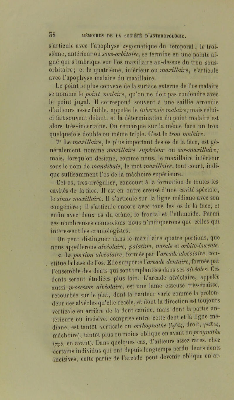 s’articule avec l’apophyse zygomatique du temporal; le troi- sième, antérieur ou sous-orbitaire, se termine en une pointe ai- guë qui s’imbrique sur l’os maxillaire au-dessus du trou sous- orbitaire; et le quatrième, intérieur ou maxillaire, s’articule avec l’apophyse malaire du maxillaire. Le point le plus convexe de la surface externe de l’os malaire se nomme le point malaire, qu’on ne doit pas confondre avec le point jugal. Il correspond souvent à une saillie arrondie d’ailleurs assez faible, appelée le tubercule mais celui- ci fait souvent défaut, et la détermination du point malaire est alors très-incertaine. On remarque sur la même face un trou quelquefois double ou même triple. C’est le trou malaire. T Le maxillaire, le plus important des os de la face, est gé- néralement nommé maxillaire supérieur ou sus-maxillaire; mais, lorsqu’on désigne, comme nous, le maxillaire inférieur sous le nom de mandibule, le mot maxillaire, tout court, indi- que suffisamment l’os de la mâchoire supérieure. Cet os, très-irrégulier, concourt à la formation de toutes les cavités de la face. 11 est en outre creusé d’une cavité spéciale, le sinus maxillaire. Il s’articule sur la ligne médiane avec son congénère ; il s’articule encore avec tous les os de la face, et enfin avec deux os du crâne, le frontal et l’ethmoïde. Parmi ces nombreuses connexions nous n’indiquerons que celles qui intéressent les craniologistes. On peut distinguer dans le maxillaire quatre portions, que nous appellerons alvéolaire, palatine, nasale et orbito-buccale. a. hetportion alvéolaire, formée par arcade alvéolaire, con- stitue la base de l’os. Elle supporte Varcade dentaire, formée par l’ensemble des dents qui sont implantées dans ses alvéoles. Ces dents seront étudiées plus loin. L^arcade alvéolaire, appelée aussi processus alvéolaire, est une lame osseuse tiès-épaisse, recourbée sur le plat, dont la hauteur varie comme la profon- deur des alvéoles qu’elle recèle, et dont la direction est toujours verticale en arrière de la dent canine, mais dont la partie an- térieure ou incisive, comprise entre cette dent et la ligne mé- diane, est tantôt verticale ou orthognathe (opOéç, droit, YviOoc, mâchoire), tantôt plus ou moins oblique en avant on prognathe {rp6, en avant). Dans quelques cas, d’ailleurs assez rares, chez certains individus qui ont depuis longtemps perdu leurs dents incisives, cette partie de l’arcade peut devenir oblique en ar-