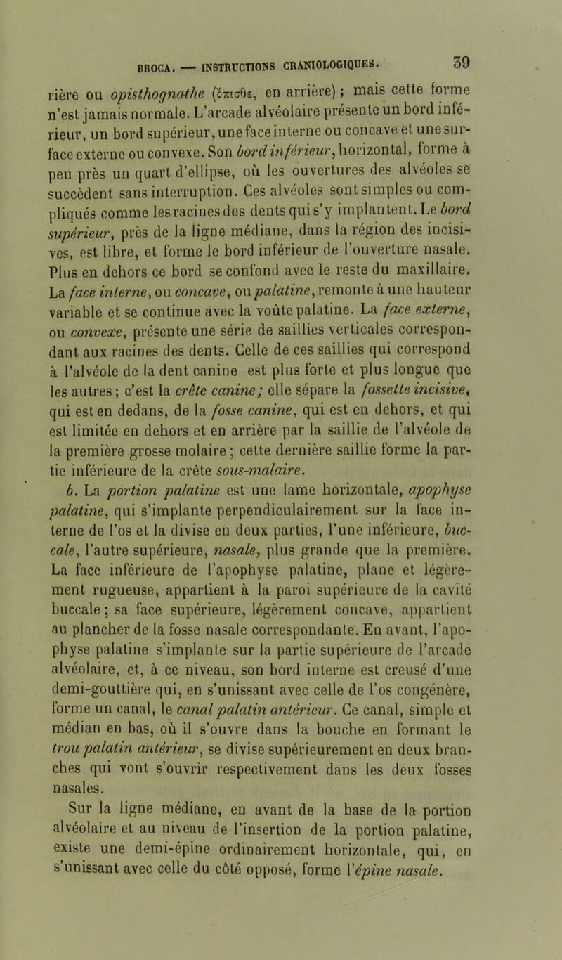 rière ou opisthognathe (c^icOs, en arrière) ; mais celte forme n’est jamais normale. L’arcade alvéolaire présente un bord infé- rieur, un bord supérieur,unefaceinterne ou concave et unesur- face externe ou convexe. Son horizontal, forme à peu près un quart d’ellipse, ou les ouvertures des alvéoles se succèdent sans interruption. Ces alvéoles sont simples ou com- pliqués comme les racines des dents qui s’y implantent. Le bord supérieur^ près de la ligne médiane, dans la région des incisi- ves, est libre, et forme le bord inférieur de l’ouverture nasale. Plus en dehors ce bord se confond avec le reste du maxillaire. La face interne^ ou concave^ ou palatine^ remonte à une hauteur variable et se continue avec la voûte palatine. La face externe^ ou convexe, présente une série de saillies verticales correspon- dant aux racines des dents. Celle de ces saillies qui correspond à l’alvéole de la dent canine est plus forte et plus longue que les autres; c’est la crête canine; elle sépare la fossette incisive, qui est en dedans, de la fosse canine, qui est en dehors, et qui est limitée en dehors et en arrière par la saillie de l’alvéole de la première grosse molaire ; cette dernière saillie forme la par- tie inférieure de la crête sous-malaire. b. La portion palatine est une lame horizontale, apophyse palatine, qui s’implante perpendiculairement sur la face in- terne de l’os et la divise en deux parties, l’une inférieure, buc- cale, l’autre supérieure, nasale, plus grande que la première. La face inférieure de l’apophyse palatine, plane et légère- ment rugueuse, appartient à la paroi supérieure de la cavité buccale; sa face supérieure, légèrement concave, appartient au plancher de la fosse nasale correspondante. En avant, l’apo- physe palatine s’implante sur la partie supérieure de l’arcade alvéolaire, et, à ce niveau, son bord interne est creusé d’une demi-gouttière qui, en s’unissant avec celle de l’os congénère, forme un canal, le canal palatin antérieur. Ce canal, simple et médian en bas, où il s’ouvre dans la bouche en formant le trou palatin antérieur, se divise supérieurement en deux bran- ches qui vont s’ouvrir respectivement dans les deux fosses nasales. Sur la ligne médiane, en avant de la base de la portion alvéolaire et au niveau de l’insertion de la portion palatine, existe une demi-épine ordinairement horizontale, qui, en s unissant avec celle du côté opposé, forme Vépine nasale.