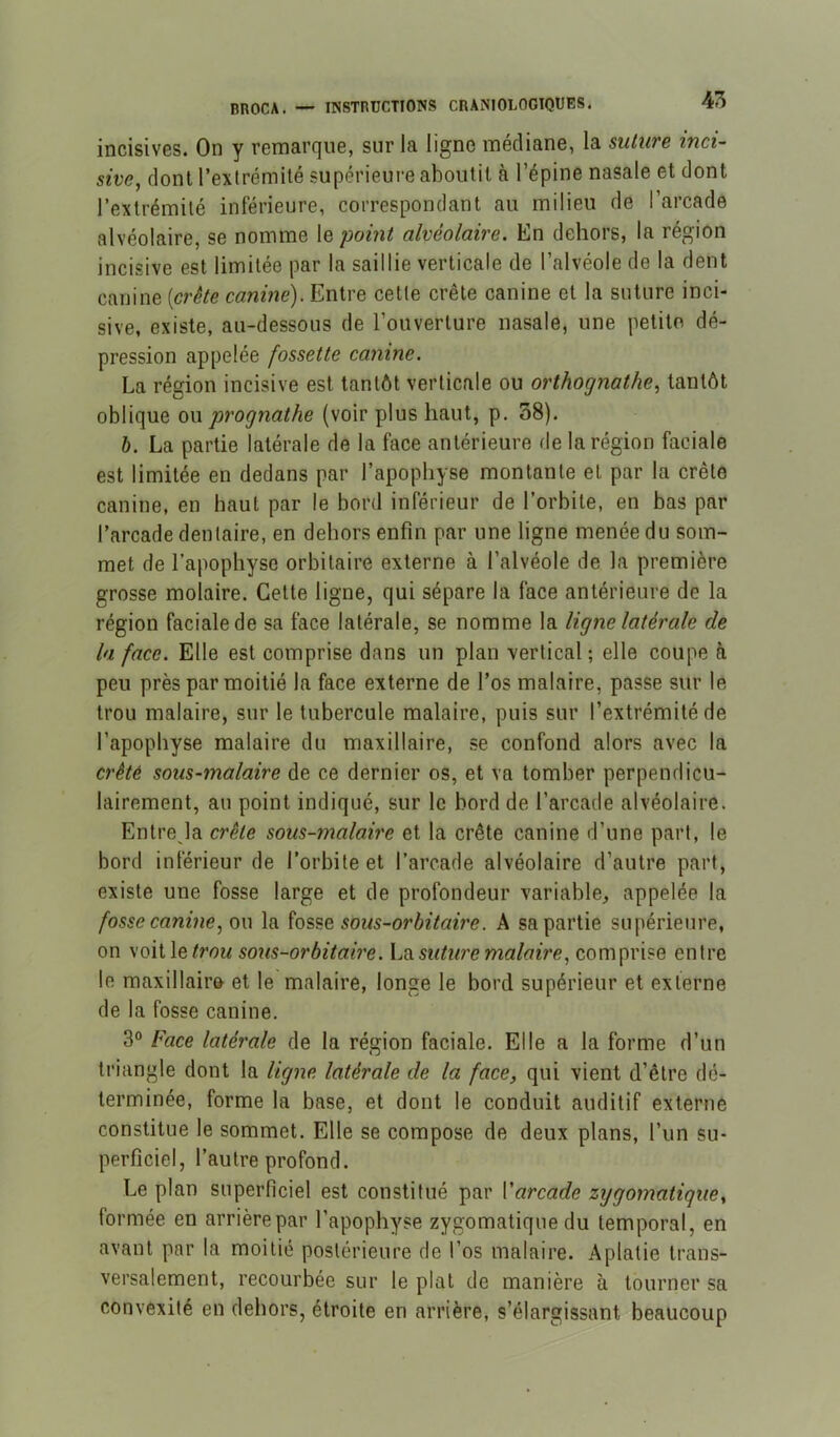 incisivos. On y remarcjiie, sur la ligne noédiane, la suluve inci- sive, dont l’extrémité supérieure aboutit à l’épine nasale et dont l’extrémité inférieure, correspondant au milieu de l’arcade alvéolaire, se nomme le point alvéolaire. En dehors, la région incisive est limitée par la saillie verticale de l’alvéole de la dent canine [crête canine). Entre cette crête canine et la suture inci- sive, existe, au-dessous de l’ouverture nasale, une petite dé- pression appelée fossette canine. La région incisive est tantôt verticale ou orthognathe, tantôt oblique oi\ prognathe (voir plus haut, p. 38). h. La partie latérale de la face antérieure de la région faciale est limitée en dedans par l’apophyse montante et par la crête canine, en haut par le bord inférieur de l’orbite, en bas par l’arcade dentaire, en dehors enfin par une ligne menée du som- met de l’apophyse orbitaire externe à l’alvéole de la première grosse molaire. Cette ligne, qui sépare la face antérieure de la région faciale de sa face latérale, se nomme la ligne latérale de la face. Elle est comprise dans un plan vertical ; elle coupe à peu près par moitié la face externe de l’os malaire, passe sur le trou malaire, sur le tubercule malaire, puis sur l’extrémité de l’apophyse malaire du maxillaire, se confond alors avec la crêté sous-malaire de ce dernier os, et va tomber perpendicu- lairement, au point indiqué, sur le bord de l’arcade alvéolaire. Entreja crête sous-malaire et la crête canine d’une part, le bord inférieur de l’orbite et l’arcade alvéolaire d’autre part, existe une fosse large et de profondeur variable, appelée la fosse canine, Q\\ la sous-orbitaire. A sa partie supérieure, on voitle/roM sous-orbitaire. Ldi suture malaire, comprise entre le maxillaire et le malaire, longe le bord supérieur et externe de la fosse canine. 3° Face latérale de la région faciale. Elle a la forme d’un triangle dont la ligne latérale de la face, qui vient d’être dé- terminée, forme la base, et dont le conduit auditif externe constitue le sommet. Elle se compose de deux plans, l’un su- perficiel, l’autre profond. Le plan superficiel est constitué par Varcade zygomatique, formée en arrière par l’apophyse zygomatique du temporal, en avant par la moitié postérieure de l’os malaire. Aplatie trans- versalement, recourbée sur le plat de manière à tourner sa convexité en dehors, étroite en arrière, s’élargissant beaucoup