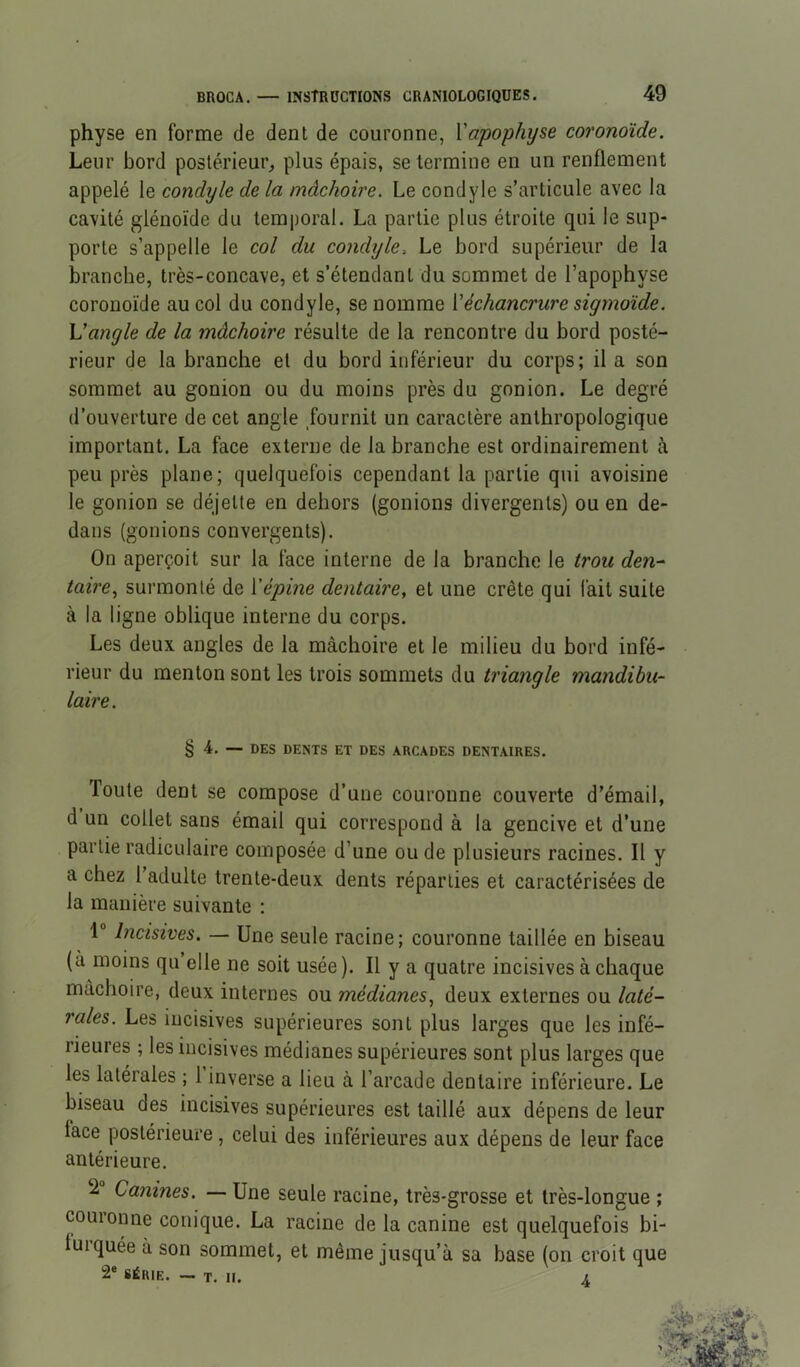 physe en forme de dent de couronne, ['apophyse coronoïde. Leur bord postérieur^ plus épais, se termine en un renflement appelé le condyle de la mâchoire. Le condyle s’articule avec la cavité glénoïde du temporal. La partie plus étroite qui le sup- porte s’appelle le col du condyle. Le bord supérieur de la branche, très-concave, et s’étendant du sommet de l’apophyse coronoïde au col du condyle, se nomme ['échancrure sigmoïde. Vangle de la mâchoire résulte de la rencontre du bord posté- rieur de la branche et du bord inférieur du corps; il a son sommet au gonion ou du moins près du gonion. Le degré d’ouverture de cet angle fournit un caractère anthropologique important. La face externe de la branche est ordinairement à peu près plane; quelquefois cependant la partie qui avoisine le gonion se déjette en dehors (gonions divergents) ou en de- dans (gonions convergents). On aperçoit sur la face interne de la branche le trou den- taire., surmonté de ['épine dentaire, et une crête qui fait suite à la ligne oblique interne du corps. Les deux angles de la mâchoire et le milieu du bord infé- rieur du menton sont les trois sommets du triangle mandibu- laire. § 4. — DES DENTS ET DES ARCADES DENTAIRES. foute dent se compose d’une couronne couverte d’émail, d un collet sans émail qui correspond à la gencive et d’une partie radiculaire composée d’une ou de plusieurs racines. Il y a chez 1 adulte trente-deux dents réparties et caractérisées de la manière suivante ; 1“ Incisives. — Une seule racine; couronne taillée en biseau (à moins qu elle ne soit usée). Il y a quatre incisives à chaque mâchoire, deux internes ou médianes, deux externes ou laté- rales. Les incisives supérieures sont plus larges que les infé- rieures ; les incisives médianes supérieures sont plus larges que les latérales ; 1 inverse a lieu a l’arcade dentaire inférieure. Le biseau des incisives supérieures est taillé aux dépens de leur face postérieure, celui des inférieures aux dépens de leur face antérieure. 2 Canines, — Une seule racine, très-grosse et très-longue ; couionne conique. La racine de la canine est quelquefois bi- turquée à son sommet, et même jusqu’à sa base (on croit que 2* SÉRIE. ~ T. n. A