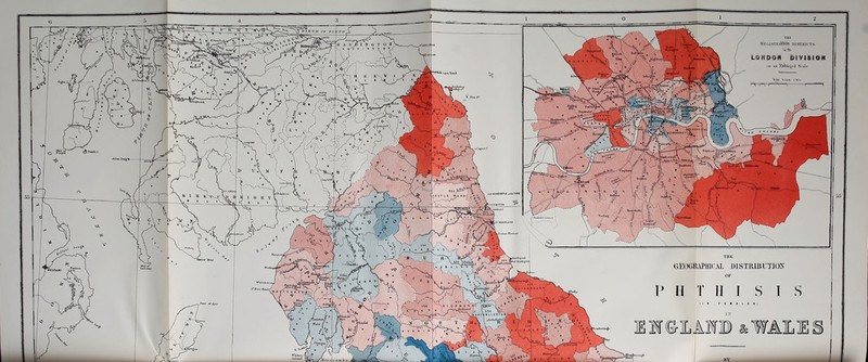 1TJT Etrl&titl* “ftEGISTRAWS DISTRICTS •aite 'MIDOK1 VI3fl ON on an Enlarged Scale S.'AbbslI .nl SMRBl UiuuiltnnT \S3sSja? UlmfrnocV D^pU'onl ’ 452 NC#fCX%Hfc u»V*tW|% isnnsLDS y SUNDBRLAXD THE GEOGRAPHICAL distribution ^V»t BarOi-pfl) IVhitcharf »r* TSM i A t L e «t o i Tfatcr WaZney Island