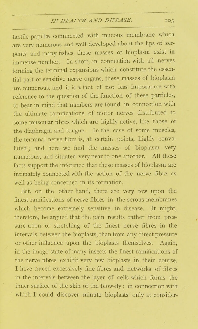 tactile papillae connnected with mucous membrane which are very numerous and well developed about the lips of ser- pents and many fishes, these masses of bioplasm exist in immense number. In short, in connection with all nerves forming the terminal expansions which constitute the essen- tial part of sensitive nerve organs, these masses of bioplasm are numerous, and it is a fact of not less importance with reference to the question of the function of these particles, to bear in mind that numbers are found in connection with the ultimate ramifications of motor nerves distributed to some muscular fibres which are highly active, like those of the diaphragm and tongue. In the case of some muscles, the terminal nerve fibre is, at certain points, highly convo- luted; and here we find the masses of bioplasm very numerous, and situated very near to one another. All these facts support the inference that these masses of bioplasm are intimately connected with the action of the nerve fibre as well as being concerned in its formation. But, on the other hand, there are very few upon the finest ramifications of nerve fibres in the serous membranes which become extremely sensitive in disease. It might, therefore, be argued that the pain results rather from pres- sure upon, or stretching of the finest nerve fibres in the intervals between the bioplasts, than from any direct pressure or other influence upon the bioplasts themselves. Again, in the imago state of many insects the finest ramifications of the nerve fibres exhibit very few bioplasts in their course. I have ttaced excessively fine fibres and networks of fibres in the intervals between the layer of cells which forms the inner surface of the skin of the blow-fly; in connection with which I could discover minute bioplasts only at consider-