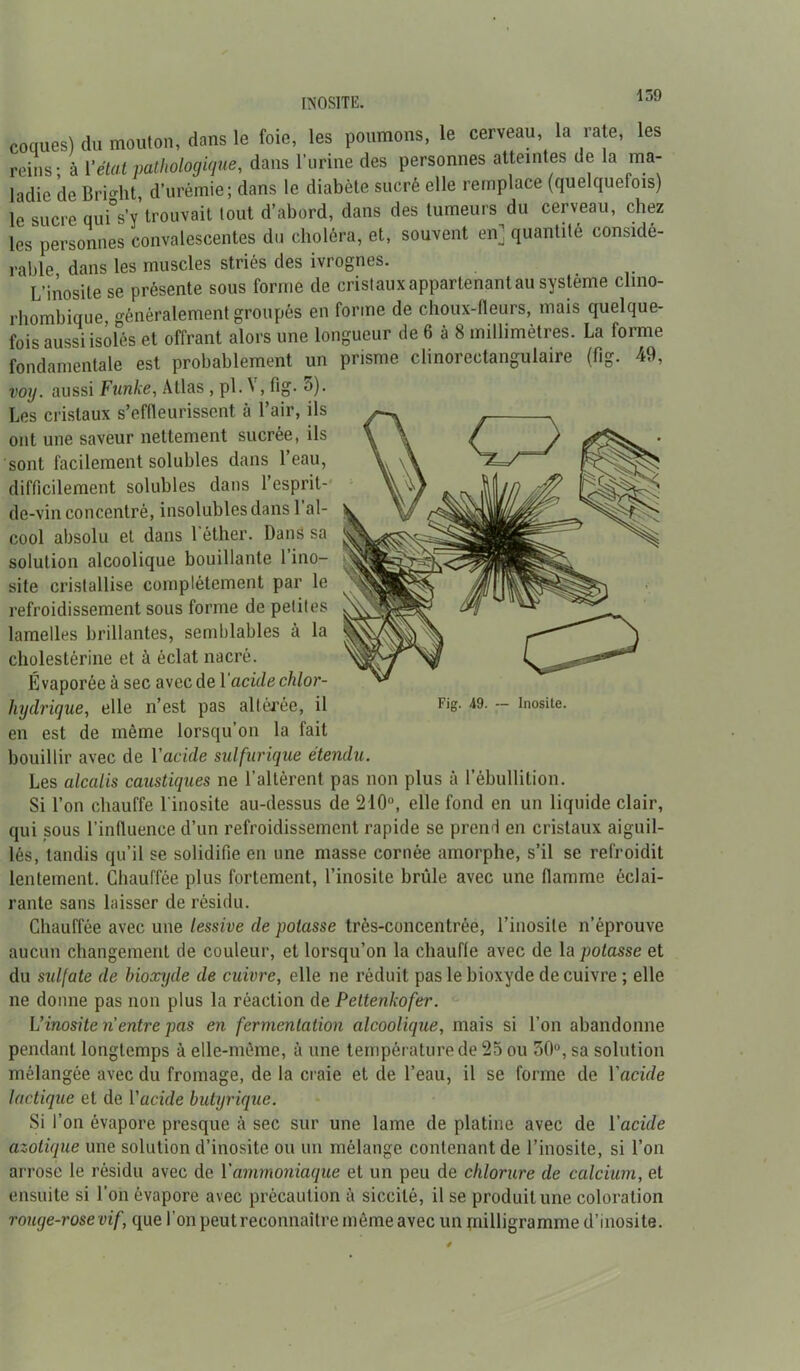 INOSITE. cocues) du mouton, dons le foie, les poumons, le cerveau, la rate, les reins- à l'étal pathologique, dans l'urine des personnes atteintes de la ma- ladie de Bri°-ht, d’urémie ; dans le diabète sucré elle remplace (quelquefois) le sucre quiVy trouvait tout d’abord, dans des tumeurs du cerveau, chez les personnes convalescentes du choléra, et, souvent en] quantité considé- rable dans les muscles striés des ivrognes. L’inosite se présente sous forme de cristaux appartenant au système clino- rhombique, généralement groupés en forme de choux-fleurs, mais quelque- fois aussi isolés et offrant alors une longueur de 6 à 8 millimètres. La forme fondamentale est probablement un prisme clinoreclangulaire (flg. 49, voy. aussi Funke, Allas , pl. A , fig- 3). Les cristaux s’effleurissent à l’air, ils ont une saveur nettement sucrée, ils sont facilement solubles dans l’eau, difficilement solubles dans l’esprit- de-vin concentré, insolubles dans 1 al- cool absolu et dans 1 éther. Dans sa solution alcoolique bouillante 1 ino- site cristallise complètement par le refroidissement sous forme de petites lamelles brillantes, semblables à la cholestérine et à éclat nacré. Évaporée à sec avec de \ 'acide chlor- hydrique, elle n’est pas altérée, il Fig- - inosite. en est de même lorsqu’on la fait bouillir avec de Yacide sulfurique étendu. Les alcalis caustiques ne l’altèrent pas non plus à l’ébullition. Si l’on chauffe l'inosite au-dessus de 210°, elle fond en un liquide clair, qui sous l’influence d’un refroidissement rapide se prend en cristaux aiguil- lés, tandis qu’il se solidifie en une masse cornée amorphe, s’il se refroidit lentement. Chauffée plus fortement, l’inosite brûle avec une flamme éclai- rante sans laisser de résidu. Chauffée avec une lessive de potasse très-concentrée, l’inosite n’éprouve aucun changement de couleur, et lorsqu’on la chauffe avec de la potasse et du sidfate de bioxyde de cuivre, elle ne réduit pas le bioxyde de cuivre ; elle ne donne pas non plus la réaction de Pettenkofer. L’inosite n entre pas en fermentation alcoolique, mais si l’on abandonne pendant longtemps à elle-même, à une température de 25 ou 50°, sa solution mélangée avec du fromage, de la craie et de l’eau, il se forme de Yacide lactique et de l’acide butyrique. Si l’on évapore presque à sec sur une lame de platine avec de Yacide azotique une solution d’inosite ou un mélange contenant de l’inosite, si l’on arrose le résidu avec de Y ammoniaque et un peu de chlorure de calcium, et ensuite si l’on évapore avec précaution à siccilé, il se produit une coloration rouge-rose vif, que l’on peut reconnaître môme avec un milligramme d’inosite.