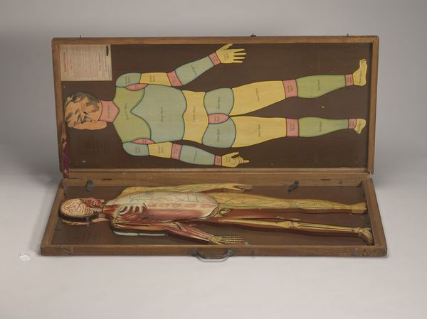 Anatomical figures with detachable parts. Colour lithographs by American Manikin Co., ca. 1890.