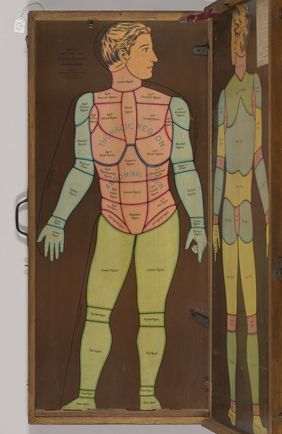 Anatomical figures with detachable parts. Colour lithographs by American Manikin Co., ca. 1890.