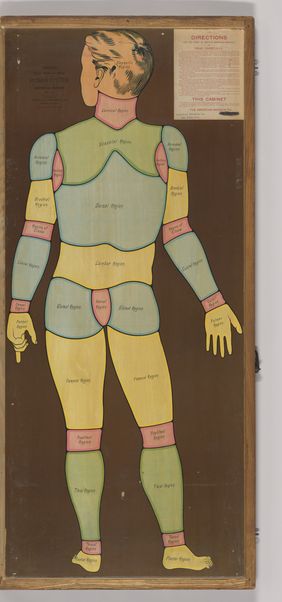 Anatomical figures with detachable parts. Colour lithographs by American Manikin Co., ca. 1890.
