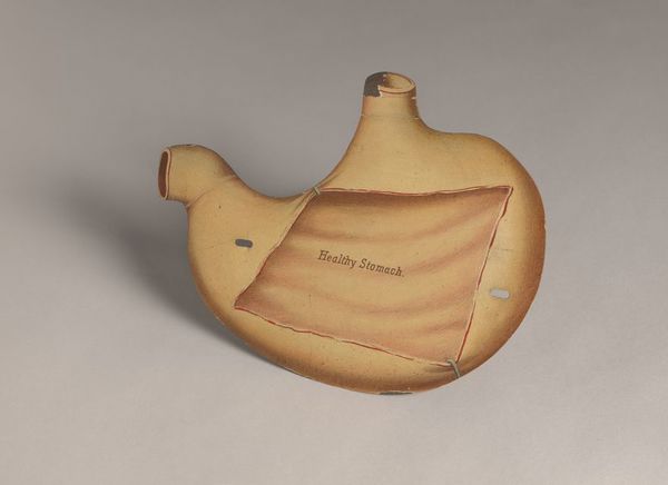 Anatomical figures with detachable parts. Colour lithographs by American Manikin Co., ca. 1890.