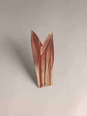 Anatomical figures with detachable parts. Colour lithographs by American Manikin Co., ca. 1890.