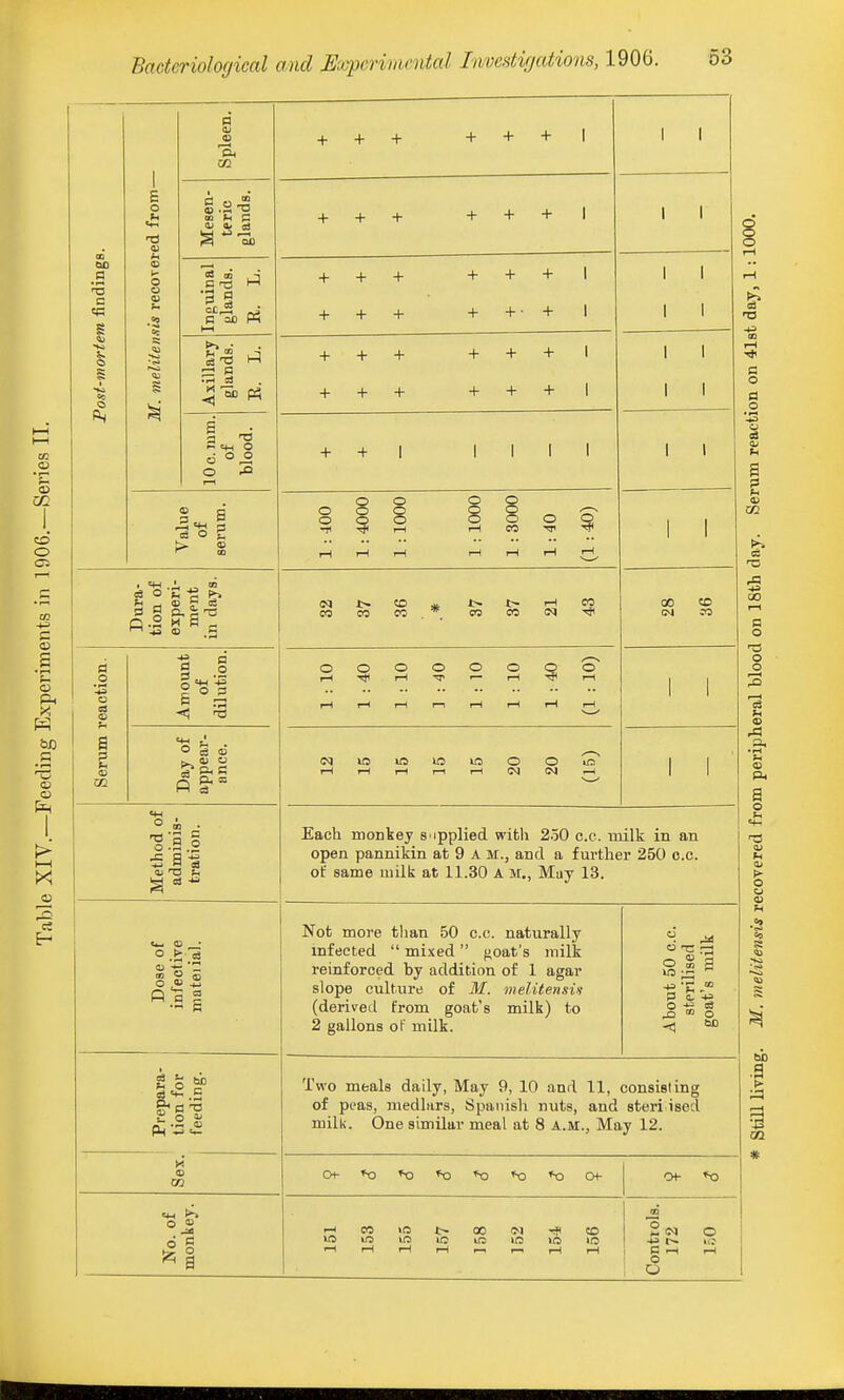 a c E o <u o o a 'ft CO s3 QQ 1-i M f4 q a S CM o o q ca o (3 O 3 « «^ ? ^ H a g 4a <D .g O a CO § .2 O § o o . 5 a -§ S '- a) ^ Oj «:aa g o ^ 03 d R + + + + + + 1 I I + + + + + + 1 1 1 + + + + + + 1 + + + + +• + 1 1 1 1 1 + + + + + + 1 + + + + + + 1 1 1 1 1 + + 1 1 1 1 1 1 1 1 : 400 1:4000 1 :1000 1 :1000 1 : 3000 1:40 (1:40) 1 1 CO CO CO.. CO CO <N 00 to (M CO OOOOOOOO i-(Ti<r-lTr'— rHTflr-1 1—IrHi—II—ii—ti—tP-iT—( 1 1 (MUSlrtlOlOOOiO I—f»Ht—(I—IT— 1 1 Each monkey s ipplied witli 2.50 c.c. milk in an open pannikin at 9 A M., and a furthei' 250 c.c. of same milk at 11.30 AM., May 13. Not more than 50 c.c. naturally infected  mixed  goat's milk reinforced by addition of 1 agar slope culture of M. melitensU (derived from goat's milk) to 2 gallons of milk. About 50 c.c. sterilised goat's milk Two meals daily, May 9, 10 and 11, consisting of peas, medlars, 8panish nuts, and steri ised milk. One similar meal at 8 a.m., May 12. CH-'tD'X)'X)*C*0'X)04- f—t CO »0 1> 00 OI ri^ CO 1—liHiHi—l.-ir^T—ll—1 Controls. 172 1.50 T3 CO ■2 00 I—I a o U (O ft ft a o .9 m