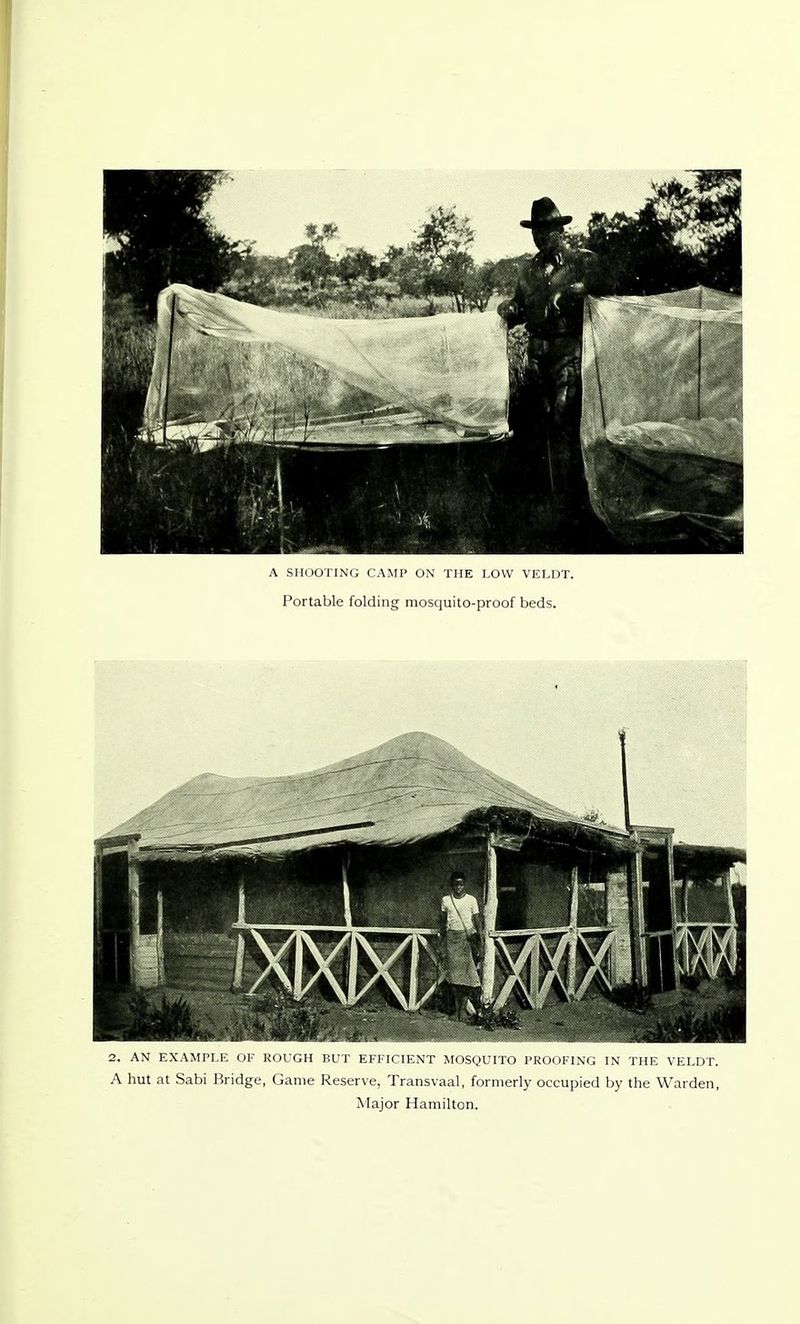 A SHOOTING CAMP ON THE LOW VELDT. Portable folding mosquito-proof beds. A hut at Sabi Bridge, Game Reserve, Transvaal, formerly occupied by the Warden, Major Hamilton.