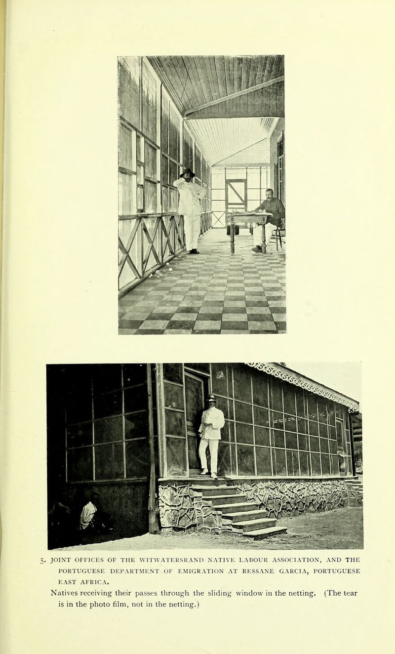 5. JOINT OFFICES OF THE WIT WATERS RAND NATIVE LABOUR ASSOCIATION, AND THE PORTUGUESE DEPARTMENT OF EMIGRATION AT RESSANE GARCIA, PORTUGUESE EAST AFRICA. Natives receiving their passes through the sliding window in the netting. (The tear is in the photo film, not in the netting.)
