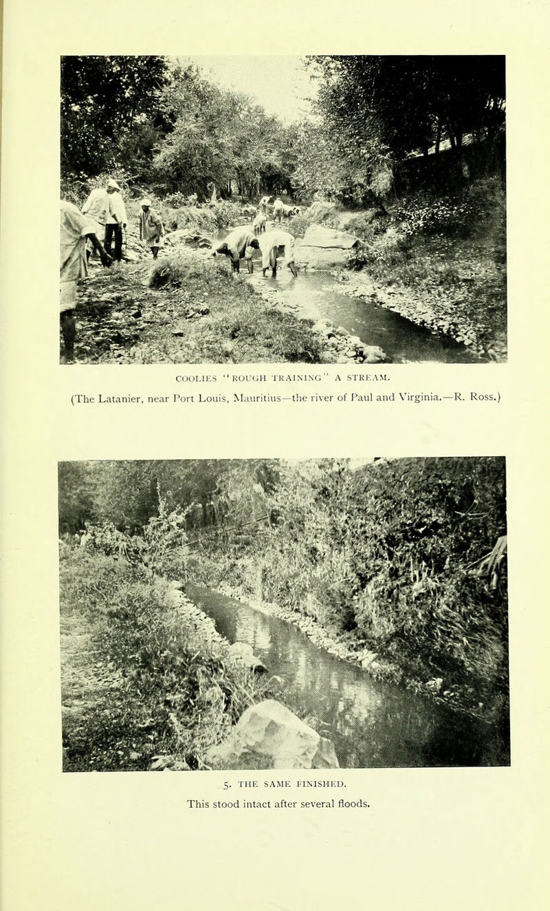 COOLIES ROUGH TRAINING A STREAM. (The Latanier, near Port Louis, Mauritius—the river of Paul and Virginia.—R. Ross.)