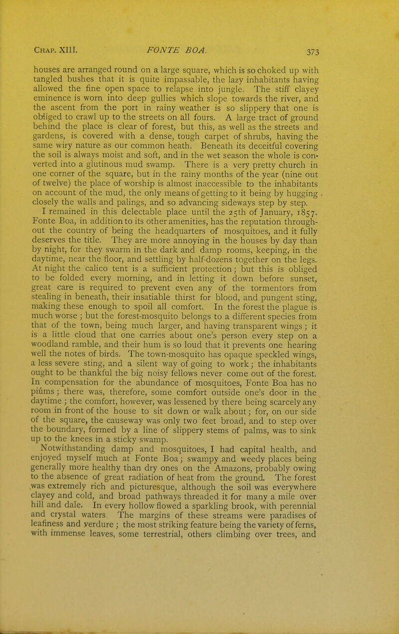 houses are arranged round on a large square, which is so choked up with tangled bushes that it is quite impassable, the lazy inhabitants having allowed the fine open space to relapse into jungle. The stiff clayey eminence is worn into deep gullies which slope towards the river, and the ascent from the port in rainy weather is so slippery that one is obliged to crawl up to the streets on all fours. A large tract of ground behind the place is clear of forest, but this, as well as the streets and gardens, is covered with a dense, tough carpet of shrubs, having the same wiry nature as our common heath. Beneath its deceitful covering the soil is always moist and soft, and in the wet season the whole is con- verted into a glutinous mud swamp. There is a very pretty church in one corner of the square, but in the rainy months of the year (nine out of twelve) the place of worship is almost inaccessible to the inhabitants on account of the mud, the only means of getting to it being by hugging closely the walls and palings, and so advancing sideways step by step. I remained in this delectable place until the 25th of January, 1857. Fonte Boa, in addition to its other amenities, has the reputation through- out the country of being the headquarters of mosquitoes, and it fully deserves the title. They are more annoying in the houses by day than by night, for they swarm in the dark and damp rooms, keeping, in the daytime, near the floor, and settling by half-dozens together on the legs. At night the caHco tent is a sufficient protection; but this is obliged to be folded every morning, and in letting it down before sunset, great care is required to prevent even any of the tormentors from stealing in beneath, their insatiable thirst for blood, and pungent sting, making these enough to spoil all comfort. In the forest the plague is much worse ; but the forest-mosquito belongs to a different species from that of the town, being much larger, and having transparent wings; it is a little cloud that one carries about one's person every step on a woodland ramble, and their hum is so loud that it prevents one hearing well the notes of birds. The town-mosquito has opaque speckled wings, a less severe sting, and a silent way of going to work; the inhabitants ought to be thankful the big noisy fellows never come out of the forest. In compensation for the abundance of mosquitoes, Fonte Boa has no piums; there was, therefore, some comfort outside one's door in the daytime ; the comfort, however, was lessened by there being scarcely any room in front of the house to sit down or walk about; for, on our side of the square, the causeway was only two feet broad, and to step over the boundary, formed by a line of slippery stems of palms, was to sink up to the knees in a sticky swamp. Notwithstanding damp and mosquitoes, I had capital health, and enjoyed myself much at Fonte Boa; swampy and weedy places being generally more healthy than dry ones on the Amazons, probably owing to the absence of great radiation of heat from the ground. The forest was extremely rich and picturesque, although the soil was everywhere clayey and cold, and broad pathways threaded it for many a mile over hill and dale. In every hollow flowed a sparkling brook, with perennial and crystal waters. The margins of these streams were paradises of leafiness and verdure ; the most striking feature being the variety of ferns, with immense leaves, some terrestrial, others climbing over trees, and