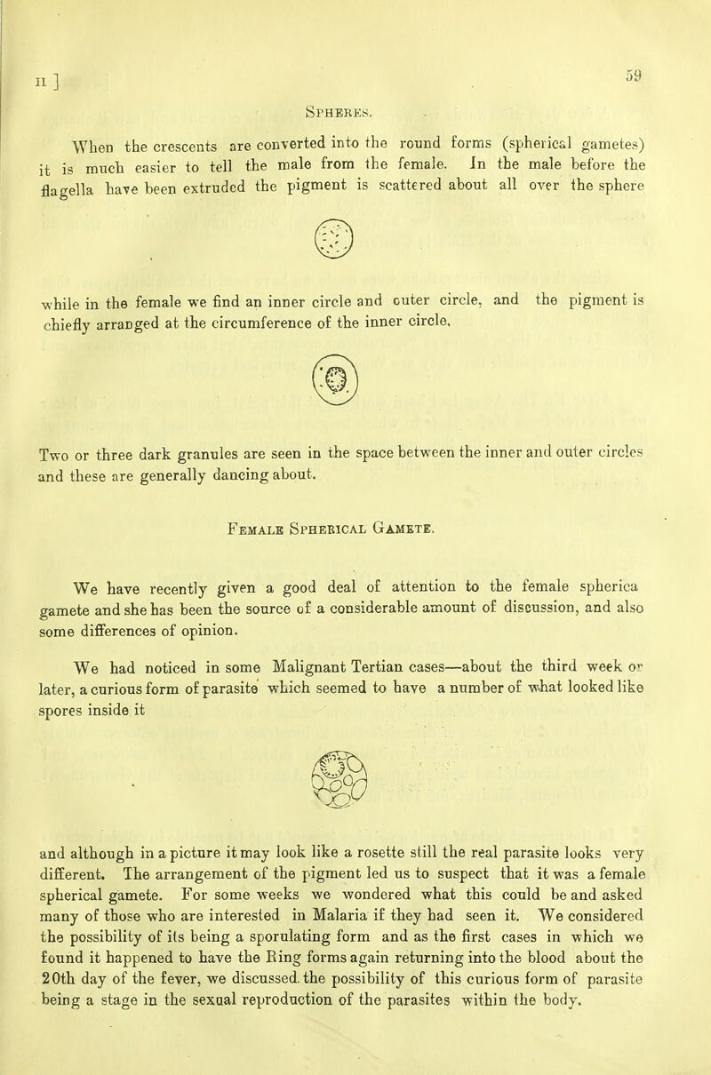 Spheres. When the crescents are converted into the round forms (spherical gametes) it is much easier to tell the male from ihe female. In the male before the flaeella ha-^e been extruded the pigment is scattered about all over the sphere while in the female we find an inner circle and outer circle, and the pigment is chiefly arranged at the circumference of the inner circle. Two or three dark granules are seen in the space between the inner and outer circles and these are generally dancing about. Female Sphebical Gamete. We have recently given a good deal of attention to the female spherica gamete and she has been the source of a considerable amount of discussion, and also some differences of opinion. We had noticed in some Malignant Tertian cases—about the third week or later, a curious form of parasite which seemed to have a number of w«hat looked like spores inside it and although in a picture it may look like a rosette still the real parasite looks very different. The arrangement of the pigment led us to suspect that it was a female spherical gamete. For some weeks we wondered what this could be and asked many of those who are interested in Malaria if they had seen it. We considered the possibility of its being a sporulating form and as the first cases in which we found it happened to have the Eing forms again returning into the blood about the 20th day of the fever, we discussed, the possibility of this curious form of parasite being a stage in the sexual reproduction of the parasites within the body.