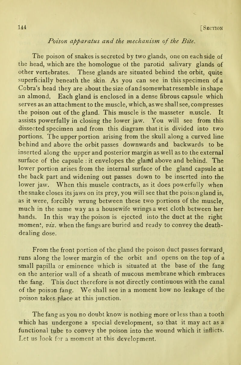 lii [Section Poison apparatus and the mechanism of the Bite. The poison of snakes is secreted by two glands, one on each side of the head, which are the homologue ot the parotid saHvary glands of other vertebrates. These glands are situated behind the orbit, quite superficially beneath the skin. As you can see in this specimen of a Cobra's head they are about the size ofand somewhat resemble in shape an almond. Each gland is enclosed in a dense fibrous capsule which serves as an attachment to the muscle, which, as we shall see, compresses the poison out of the gland. This muscle is the masseter muscle. It assists powerfully in closing the lower jaw. You will see from this dissected specimen and from this diagram that it is divided into two portions. The upper portion arising from the skull along a curved line behind and above the orbit passes downwards and backwards to be inserted along the upper and posterior margin as well as to the external surface of the capsule : it envelopes the glartd above and behind. The lower portion arises from the internal surface of the gland capsule at the back part and widening out passes down to be inserted into the lower jaw. When this muscle contracts, as it does powerfully when thesnake closes its jaws on its prey, you will see that the poisongland is, as it were, forcibly wrung between these two portions of the muscle, much in the same way as a housewife wrings a wet cloth between her hands. In this way the poison is ejected into the duct at the right momen^, viz. when the fangs are buried and ready to convey the death- dealing dose. From the front portion of the gland the poison duct passes forward^ runs along the lower margin of the orbit and opens on the top of a small papilla or eminence which is situated at the base of the fang on the anterior wall of a sheath of mucous membrane which embraces the fang. This duct therefore is not directly continuous with the canal of the poison fang. We shall see in a moment how no leakage of the poison takes place at this junction. The fang as you no doubt know is nothing more or less than a tooth which has undergone a special development, so that it may act as a functional tube to convey the poison into the wound which it inflicts. Let us look for a moment at this development.