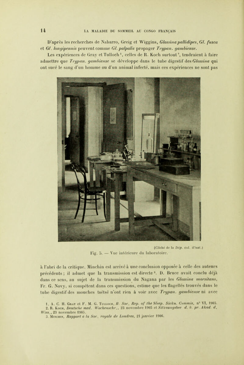 D'après les recherches de Nabarro^ Greig et Wiggins, Glossiiiapallidipes, G/, fusca et 01. longipennis peuvent comme Gl.pa/palis propager Trypaii. gambiense. Les expériences fie Gray etTuUoch', celles de R. Koch surtout , tendraient à faire admettre que Trypan. gambiense se développe dans le tube digestif des 6'/osi'iy/a qui ont sucé le sang d'un homme ou d'un animal infecté, mais ces expériences ne sont pas (f-liché lie la Uép. col. il'iist.) l'ig. 5. — ^ uo iiih'Ticiii'c ilii liilioriiloiro. à l'abri de la critique. Mincliin est arrivé à une conclusion opposée à celle des auteurs précédents ; il admet que la transmission est directe ''. 1). Bruce avait conclu déj?i dans ce sens, au sujet de la transmission du Nagana par les Ghssiiia niorsitans, Fr. G. Novy, si com|)étenl dans ces questions, estime que les llagellés trouvés dans le tube digestif des mouches tsétsé n'ont rien à voir avec Tnipaii. gambiense n\ avec 1. A. C. II. GnAY et F. M. G. Toi.locii, R Soc. Rep. of the Sleep. Sichn. Commis, n VI. IStO.'). 2. R. Kocii, Deutsche med. Wochen.scfir., 23 novembre! 11105 el Silsouiu/shee d. A-, pr. Akad. d. \\'i.<i.s., 23 ndvembre iyO.>. a. Mi.Nciii.N, Rapport à la Soc. voijale de Londre.i, 21 janvier 1900.