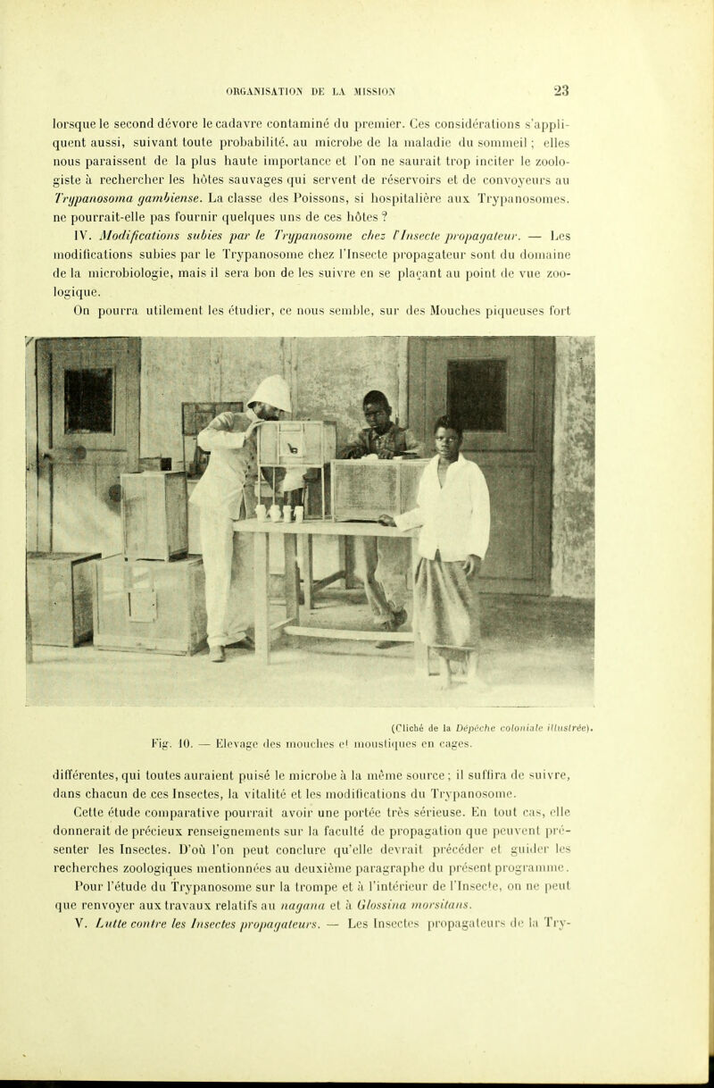 lorsque le second dévore le cadavre contaminé du premier. Ces considérations s'appli- quent aussi, suivant toute probabilité, au microbe de la maladie du sommeil ; elles nous paraissent de la plus haute importance et l'on ne saurait trop inciter le zoolo- giste à rechercher les hôtes sauvages qui servent de réservoirs et de convoyeurs au Trtjpanosoma gambiense. La classe des Poissons, si hospitalière aux Trypanosomes. ne pourrait-elle pas fournir quelques uns de ces hôtes ? IV. Modifications subies par le Trypatiosorne chez l'Insecte propagateur. — Les modifications subies par le Trypanosome chez l'Insecte propagateur sont du domaine de la microbiologie, mais il sera bon de les suivre en se plaçant au point de vue zoo- logique. On pourra utilement les étudier, ce nous semble, sur des Mouches piqueuses fort (Cliché de la Dépêche coloniale illuslrée). Fi^'. 10. — Elevage des mouches ei inousiiques en cages. différentes, qui toutes auraient puisé le microbe à la même source ; il suflira de suivre, dans chacun de ces Insectes, la vitalité et les modifications du Trypanosome. Cette étude comparative pourrait avoir une portée très sérieuse. En tout cas, elle donnerait de précieux renseignements sur la facuUé de propagation que peuvent pré- senter les Insectes. D'oij l'on peut conclure qu'elle devrait précéder et guider les recherches zoologiques mentionnées au deuxième paragraphe du présent programme. Pour l'étude du trypanosome sur la trompe et à l'intérieur de rin.sec'e, on ne peut que renvoyer aux travaux relatifs au naganu cl à Glossina tnorsitaiis. V. Lutte contre les Insectes propagateurs. — Les Insectes propagateurs de la Try-