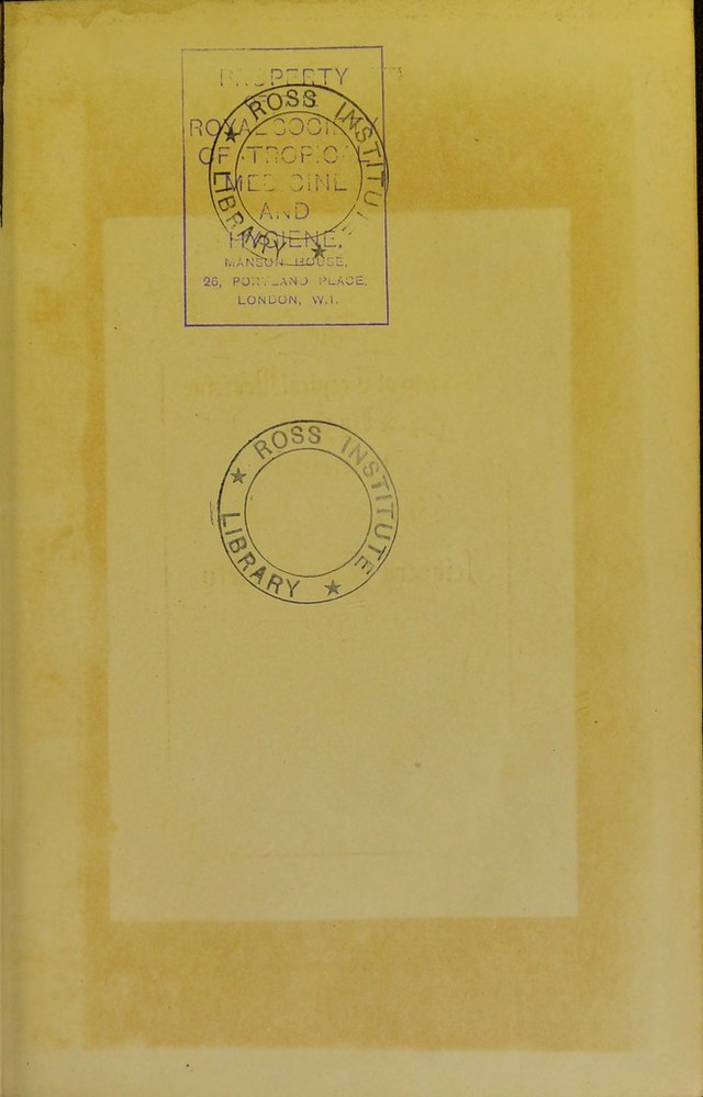 digitised image 3