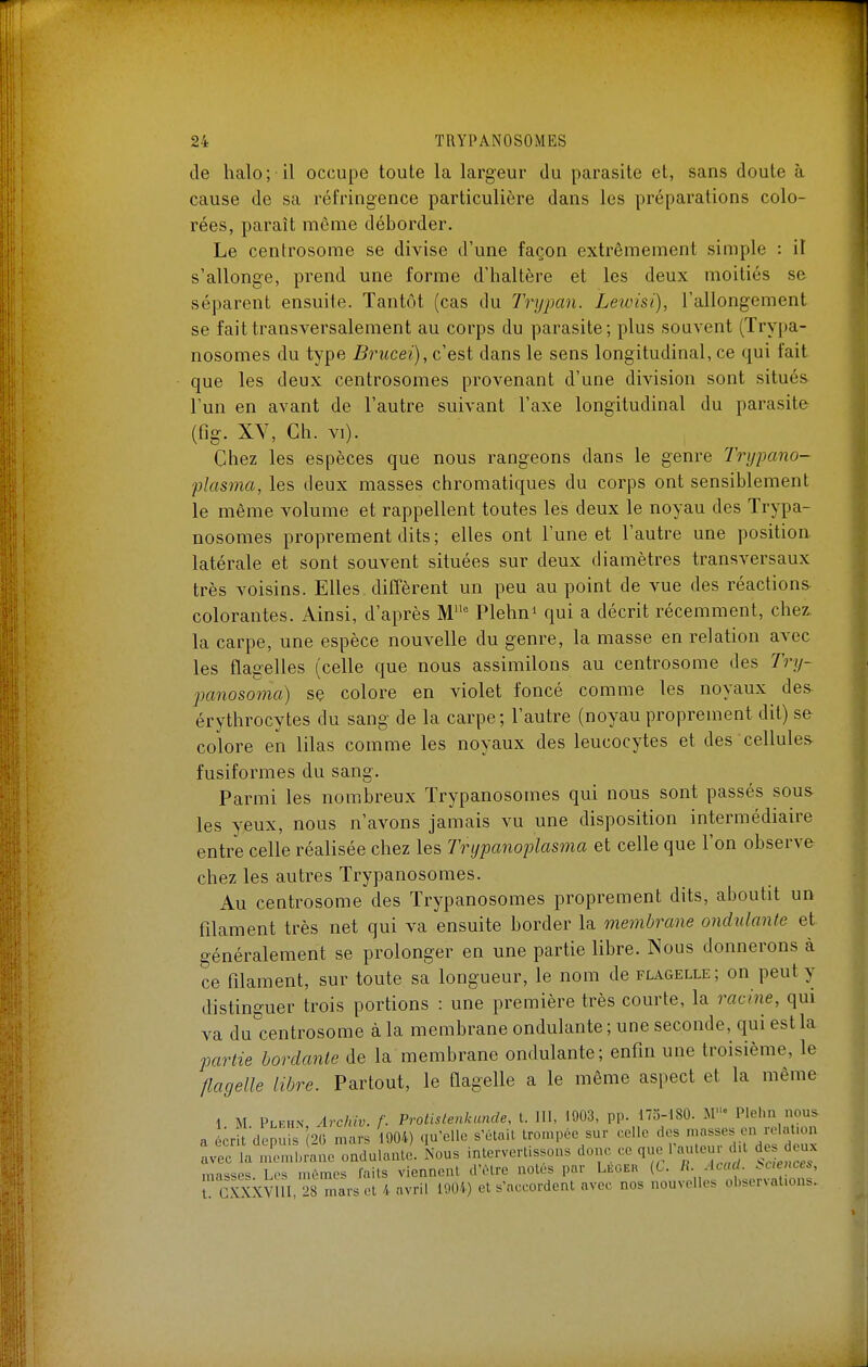 de halo; il occupe toute la largeur du parasite et, sans doute à cause de sa réfringence particulière dans les préparations colo- rées, paraît même déborder. Le centrosome se divise d'une façon extrêmement simple : il s'allonge, prend une forme d'haltère et les deux moitiés se séparent ensuite. Tantôt (cas du lYijpan. Letvisi), l'allongement se fait transversalement au corps du parasite; plus souvent (Trypa- nosomes du type Brucei), c est dans le sens longitudinal, ce qui fait que les deux centrosomes provenant d'une division sont situés l'un en avant de l'autre suivant l'axe longitudinal du parasite (fig. XV, Ch. VI). Chez les espèces que nous rangeons dans le genre Trypano- plasma, les deux masses chromatiques du corps ont sensiblement le même volume et rappellent toutes les deux le noyau des Trypa- nosomes proprement dits; elles ont l'une et l'autre une position latérale et sont souvent situées sur deux diamètres transversaux très voisins. Elles diffèrent un peu au point de vue des réaction& colorantes. Ainsi, d'après M'' Plehn' qui a décrit récemment, chez la carpe, une espèce nouvelle du genre, la masse en relation avec les flagelles (celle que nous assimilons au centrosome des Try- jmnosoma) se colore en violet foncé comme les noyaux des érythrocytes du sang de la carpe; l'autre (noyau proprement dit) se colore en lilas comme les noyaux des leucocytes et des cellules^ fusiformes du sang. Parmi les nombreux Trypanosomes qui nous sont passés sous les yeux, nous n'avons jamais vu une disposition intermédiaire entre celle réalisée chez les Trypanoplasma et celle que l'on observe chez les autres Trypanosomes. Au centrosome des Trypanosomes proprement dits, aboutit un filament très net qui va ensuite border la membrcme ondulante et généralement se prolonger en une partie libre. Nous donnerons à ce filament, sur toute sa longueur, le nom de flagelle; on peut y distinguer trois portions : une première très courte, la racine, qui va du'centrosome à la membrane ondulante ; une seconde, qui est la partie bordante de la membrane ondulante; enfin une troisième, le flagelle libre. Partout, le flagelle a le même aspect et la même 1 M Plehn Archiv. f. Protistenkunde, L 111. 1903, pp. 175-180. M« Plehn nous a ;r dojuis 20 mars 1904) qu'elle s'étail trompée sur celle des ^^^^^^'^^ avec la n.emi.rane ondulante. Nous intervertissons donc ce que 1 auteur .ht de deux masses Les mûmes faits viennent d'être notes par Lucer (t. II. Accu. Sciences, t CXXXVUI, 28 mars et avril 1904) et s'accordent avec nos nouvelles observat.ons.