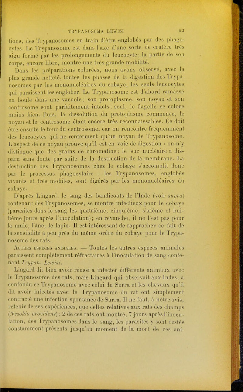 lions, des Trypanosomes en train d'êtrô englobés par des phago- cytes. Le ïrypanosome est dans l'axe d'une sorte de cratère très aigu formé par les prolongements du leucocyte; la partie de son corps, encore libre, montre une très grande mobilité. Dans les [jréparations colorées, nous avons observé, avec la plus grande netteté, toutes les phases de la digestion des Trypa- nosomes par les mononucléaires du cobaye, les seuls leucocytes qui paraissent les englober. Le Trypanosome est d'abord ramassé en boule dans une vacuole; son protoplasme, son noyau et son centrosome sont parfaitement intacts; seul, le flagelle se colore moins bien. Puis, la dissolution du protoplasme commence, le noyau et le centrosome étant encore très reconnaissables. Ce doit être ensuite le tour du centrosome, car on rencontre fréquemment des leucocytes qui ne renferment qu'un noyau de Trypanosome. L'aspect de ce noyau prouve qu'il est en voie de digestion : on n'y distingue que des grains de chromatine; le suc nucléaire a dis- paru sans doute par suite de la destruction de la membrane. La destruction des Trypanosomes chez le cobaye s'accomplit donc par le processus phagocytaire : les Trypanosomes, englobés vivants et très mobiles, sont digérés par les mononucléaires du cobaye. D'après Lingard, le sang des bandicoots de l'Inde (voir supra) contenant des Trypanosomes, se montre infectieux pour le cobaye (parasites dans le sang les quatrième, cinquième, sixième et hui- tième jours après l'inoculation); en revanche, il ne l'est pas pour la mule, l'âne, le lapin. Il est intéressant de rapprocher ce fait de la sensibilité à peu près du même ordre du cobaye pour le Trypa- nosome des rats. Autres espèces animales. — Toutes les autres espèces animales paraissent complètement réfractaires à l'inoculation de sang conte- nant lYtjpan. Leioisi. Lingard dit bien avoir réussi a infecter différents animaux avec le Trypanosome des rats, mais Lingard qui observait aux Indes, a confondu ce Trypanosome avec celui du Surra et les chevaux qu'il dit avoir infectés avec le Trypanosome du rat ont simplement contracté une infection spontanée de Surra. Il ne faut, à notre avis, retenir de ses expériences, que celles relatives aux rats des champs {JSesokia providens); 2 de ces rats ont montré, 7 jours après l'inocu- lation, des Trypanosomes dans le sang, les parasites y sont restés constamment présents jusqu'au moment de la mort de ces ani-