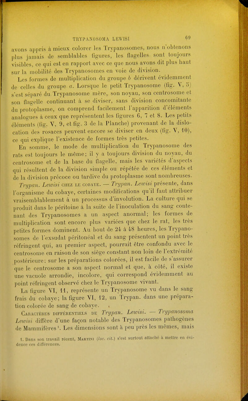 avons appris à mieux colorer les Trypanosomes, nous n'obtenons plus jamais de semblables figures, les (lagelles sont toujours visibles, ce qui est en rapport avec ce que nous avons dit plus haut sur la mobilité des Trypanosomes en voie de division. Les formes de multiplication du groupe h dérivent évidemment de celles du groupe a. Lorsque le petit Trypanosome (fig. V, 5) s'est séi)aré du Trypanosome mère, son noyau, son centrosome et son flagelle continuant à se diviser, sans division concomitante du protoplasme, on comprend facilement l'apparition d'éléments analogues à ceux que représentent les figures 6, 7 et 8. Les petits éléments (fig. V, 9, et fig. 3 de la Planche) provenant de la dislo- cation des rosaces peuvent encore se diviser en deux (fig. V, 10), ce qui explique l'existence de formes très petites. En somme, le mode de multiplication du Trypanosome des rats est toujours le même; il y a toujours division du noyau, du centrosome et de la base du flagelle, mais les variétés d'aspects qui résultent de la division simple ou répétée de ces éléments et de la division précoce ou tardive du protoplasme sont nombreuses. Trijpan. Lewisi chez le cobaye. — Trypan. Leioisi présente, dans l'orsanisme du cobaye, certaines modifications qu'il faut attribuer vraisemblablement à un processus d'involution. La culture qui se produit dans le péritoine à la suite de l'inoculation du sang conte- nant des Trypanosomes a un aspect anormal; les formes de multiplication sont encore plus variées que chez le rat, les très petites formes dominent. Au bout de 24 à 48 heures, les Trypano- somes de l'exsudat péritonéal et du sang présentent un point très réfringent qui, au premier aspect, pourrait être confondu avec le centrosome en raison de son siège constant non loin de l'extrémité postérieure; sur les préparations colorées, il est facile de s'assurer que le centrosome a son aspect normal et que, à côté, il existe une vacuole arrondie, incolore, qui correspond évidemment au point réfringent observé chez le Trypanosome vivant. La figure VI, H, représente un Trypanosome vu dans le sang frais du cobaye; la figure VI, 12, un Trypan. dans une prépara- tion colorée de sang de cobaye. , Caractèues différentiels de Trypan. Leioisi. — Trypanosoma Lewisi iMère d'une façon notable des Trypanosomes pathogènes de Mammifères'. Les dimensions sont à peu près les mêmes, mais 1. Dans son travail récent, Martini (loc. cil.) s'est surtout attaché ù mettre en évi- dence ces dilTérences.