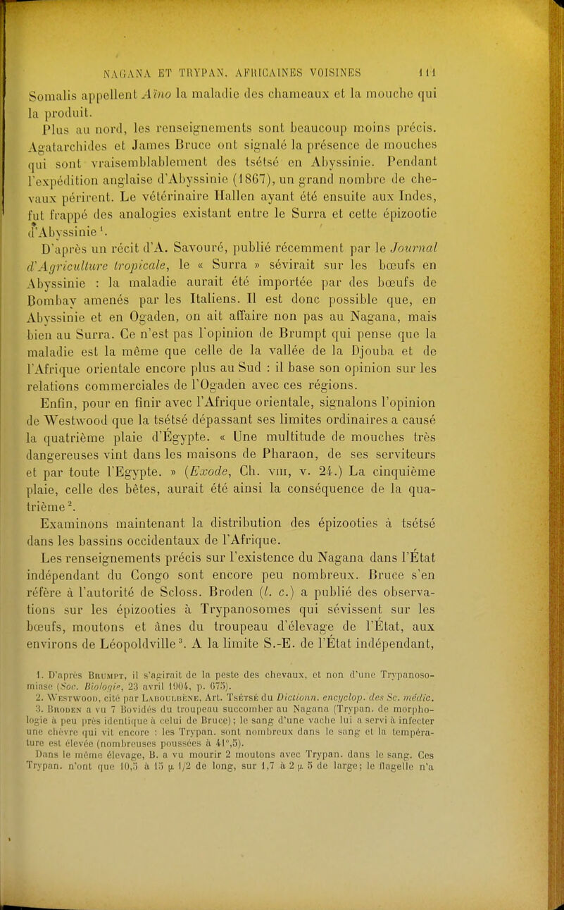 Somalis appellent Aïno la maladie des chameaux et la mouche qui la produit. Plus au nord, les renseignements sont heaucoup moins précis. Agatarchides et James Bruce ont signalé la présence de mouches qui sont vraisemblablement des tsétsé en Abyssinie. Pendant l'expédition anglaise d'Abyssinie (1867), un grand nombre de che- vaux périrent. Le vétérinaire Hallen ayant été ensuite aux Indes, fut frappé des analogies existant entre le Surra et cette épizootie d'Abyssinie'. D'après un récit d'A. Savouré, publié récemment par le Journal d'Agriculture tropicale, le « Surra » sévirait sur les bœufs en Abyssinie : la maladie aurait été importée par des bœufs de Bombav amenés par les Italiens. Il est donc possible que, en Abyssinie et en Ogaden, on ait affaire non pas au Nagana, mais bien au Surra. Ce n'est pas l'opinion de Brumpt qui pense que la maladie est la même que celle de la vallée de la Djouba et de l'Afrique orientale encore plus au Sud : il base son opinion sur les relations commerciales de l'Ogaden avec ces régions. Enfin, pour en finir avec l'Afrique orientale, signalons l'opinion de Westwood que la tsétsé dépassant ses limites ordinaires a causé la quatrième plaie d'Egypte. « Une multitude de mouches très dangereuses vint dans les maisons de Pharaon, de ses serviteurs et par toute l'Egypte. » {Exode, Ch. vm, v. 24.) La cinquième plaie, celle des bêtes, aurait été ainsi la conséquence de la qua- trième ^. Examinons maintenant la distribution des épizooties à tsétsé dans les bassins occidentaux de l'Afrique. Les renseignements précis sur l'existence du Nagana dans l'État indépendant du Congo sont encore peu nombreux. Bruce s'en réfère à l'autorité de Scloss. Broden (/. c.) a publié des observa- tions sur les épizooties à Trypanosomes qui sévissent sur les bœufs, moutons et ânes du troupeau d'élevage de l'Etat, aux environs de Léopoldville ^ A la limite S.-E. de l'État indépendant, 1. D'après Brumpt, il s'nfiirail de la peste des chevaux, et non d'une Trypanoso- minse (.Soc. liio/of/i, 23 avril 1904, p. 07o). 2. Wkstwooi), cité par LAUouLBiîNE, Art. Tsétsé du Diclionn. cncyclop. des Se. média. ■i. BnoDEN a vu 7 Bovidés du troupeau succomber au Nagana (Trypan. de morpho- logie à peu près identi(iue à celui de Bruce); le sang d'une vache lui a servi à infecter une chèvre ([ui vit encore : les Trypan. sont nombreux dans le sang et la tempéra- ture est élevée (nombreuses poussées à 41,5). Dans le même élevage, B. a vu mourir 2 moutons avec Trypan. dans le sang. Ces Trypan. n'ont que l(),o à l.'i 1/2 de long, sur 1,7 à 2 jj. 5 de large; le llagelle n'a