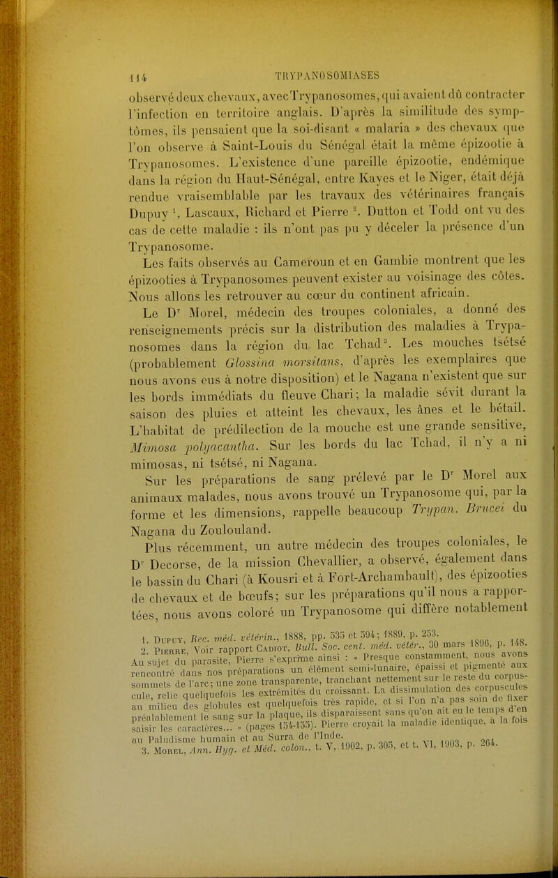 observé tleux chevaux, avecTrypanosomes, qui avaient dû contracter l'infection en territoire anglais. D'après la similitude des symp- tômes, ils pensaient que la soi-disant « malaria » des chevaux que l'on observe à Saint-Louis du Sénégal était la même épizootie à Trypanosomes. L'existence d'une pareille épizootie, endémique dans la région du Haut-Sénégal, entre Kayes et le Niger, était déjà rendue vraisemblable par les travaux des vétérinaires français Dupuy \ Lascaux, Richard et Pierre -. Dulton et Todd ont vu des cas de cette maladie : ils n'ont pas pu y déceler la présence d'un Trypanosome. Les faits observés au Cameroun et en Gambie montrent que les épizooties à Trypanosomes peuvent exister au voisinage des côtes. Nous allons les retrouver au cœur du continent africain. Le Morel, médecin des troupes coloniales, a donné des renseignements précis sur la distribution des maladies à Trypa- nosomes dans la région du lac Tchad ^ Les mouches tsétsé (probablement Glossina onorsitans, d'après les exemplaires que nous avons eus à notre disposition) et le Nagana n'existent que sur les bords immédiats du fleuve Chari; la maladie sévit durant la saison des pluies et atteint les chevaux, les ânes et le bétail. L'habitat de prédilection de la mouche est une grande sensitive. Mimosa polijacantha. Sur les bords du lac Tchad, il n'y a m mimosas, ni tsétsé, ni Nagana. Sur les préparations de sang prélevé par le Morel aux animaux malades, nous avons trouvé un Trypanosome qui, par la forme et les dimensions, rappelle beaucoup Trypan. Brucei du Nagana du Zoulouland. Plus récemment, un autre médecin des troupes coloniales, le Decorse, de la mission Chevallier, a observé, également dans le bassin du Chari (à Kousri et à Fort-Archambault), des épizooties de chevaux et de bœufs; sur les préparations qu'il nous a rappor- tées, nous avons coloré un Trypanosome qui diffère notablement 1 Dupuy, Rec. mécl. vétérin., 1888, pp. o3:5 et ol)4; 1S89 p. 253. 0 Pierr; Voir rapport Cadiot, Bull. Soc. cent. méd. vélcr., 30 mars 18!)0, p. U8 Au'suiet Su iKu^^site, Pierre s'exprime ainsi : « Presque constamment, nous avons ^^ncoTl é ïa nos Keparations u élément semi-lunaire, épaissi et pigmente aux somme s dè 1 arc une zone transparente, tranchant nettement sur le reste du corpus- re ie que q^eio s les extrémités du croissant. La dissimulation des corpuscu es au mU u des globules est quelquefois très rapide et si i;;- J^,,,;* nréalahlement le san- sur la plaque, ils disparaissent sans qu on ail eu le temps a en LSl lesTracl^re? ■> (page's IbVloo). Pierre croyait la maladie identique, a la fois au Paludisme humain et au Surra de l'iMe. 3. Morel, Ann. Ihjfj. el Mécl. colon., t. V, 1902, p. 30.,, et t. \I, 1003, p. 2G4.