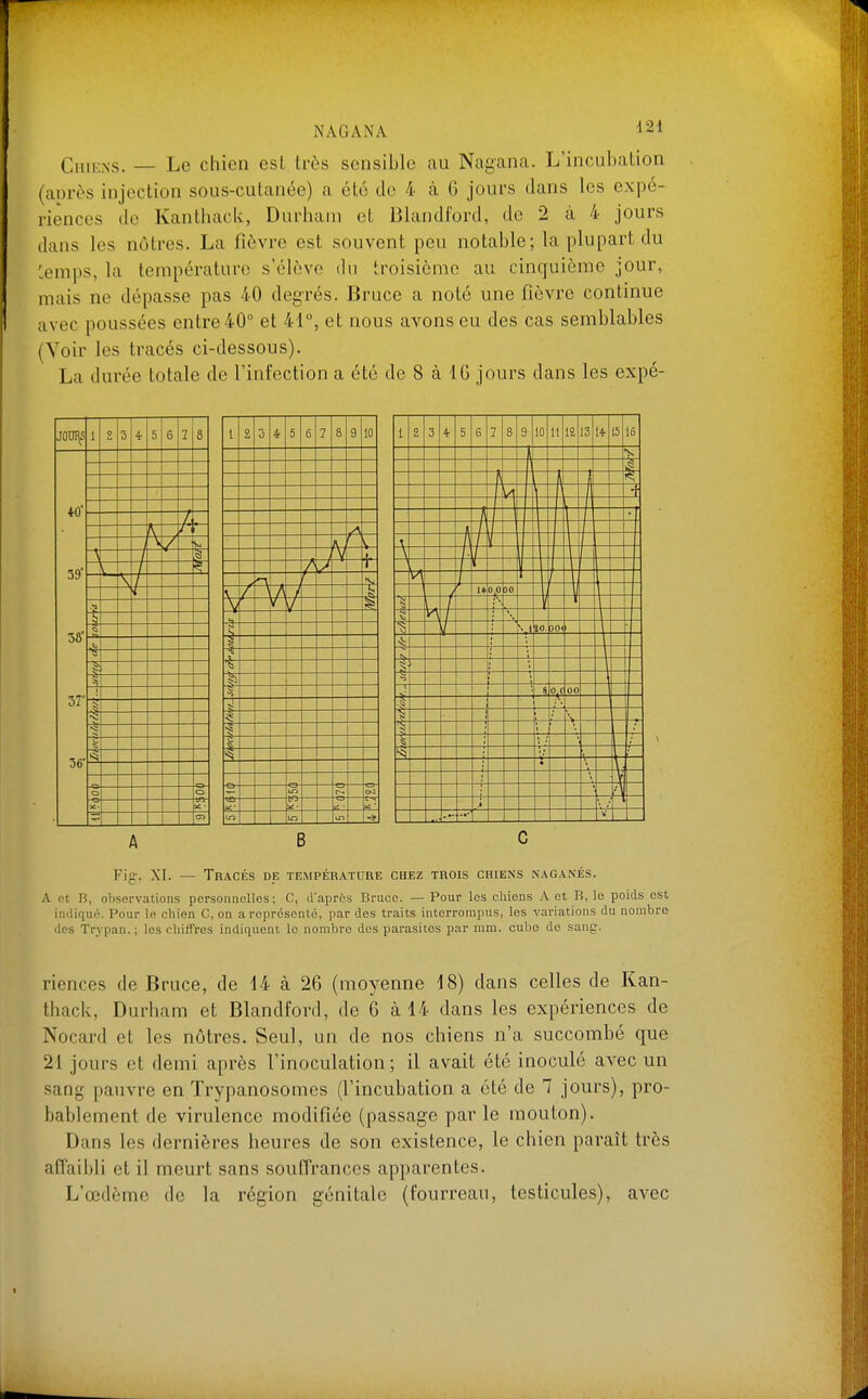 Chikns. — Le chien est très sensible au Nagana. L'incubation (anrès injection sous-cutanée) a été de 4 à 6 jours dans les expé- riences de Kanthack, Durham et Blandford, de 2 à 4 jours dans les nôtres. La fièvre est souvent peu notable; la plupart du Cemps, la température s'élève du troisième au cinquième jour, mais ne dépasse pas 40 degrés. Bruce a noté une fièvre continue avec poussées entre 40° et 41°, et nous avons eu des cas semblables (Voir les tracés ci-dessous). La durée totale de l'infection a été de 8 à IG jours dans les expé- JODI\S ♦0' 39 38 37' 36 1 0 3 4- 5 6 2 8 / \ 7 1 \ i \ 1 o O X- se- <S3 A B C Fig. XI. — Tracés de température chez trois chiens naganés. A nt B, observations personnelles; C, d'après Bruce. — Pour les chiens A et B, le poids est indiqué. Pour le chien C, on aroproscntô, par des traits interrompus, les variations du nombre des Trypan. ; les cliitfres indiquent lo nombre des parasites par mm. cube de sang. riences de Bruce, de 14 à 26 (moyenne 18) dans celles de Kan- thack, Durham et Blandford, de 6 à 14 dans les expériences de Nocard et les nôtres. Seul, un de nos chiens n'a succombé que 21 jours et demi après l'inoculation; il avait été inoculé avec un sang pauvre en Trypanosomes (l'incubation a été de 7 jours), pro- bablement de virulence modifiée (passage par le mouton). Dans les dernières heures de son existence, le chien paraît très affaibli et il meurt sans souffrances apparentes. L'œdème de la région génitale (fourreau, testicules), avec