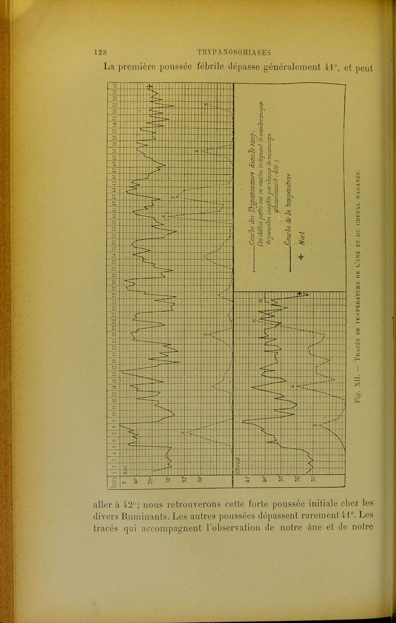La première poussée fébrile dépasse généralement 41, et peut aller à 42°; nous retrouverons cette forte poussée initiale chez les divers Ruminants. Les autres poussées dépassent rarement 4r. Les tracés qui accompagnent l'observation de notre àne et de notre