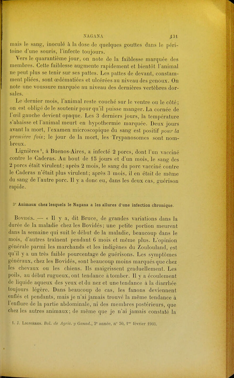 mais le sang-, inoculé à la dose de quelques gouttes dans le péri- toine d'une souris, l'infecte toujours. Vers le quarantième jour, on note de la faiblesse marquée des membres. Cette faiblesse aug-mente rapidement et bientôt l'animal ne peut plus se tenir sur ses pattes. Les pattes de devant, constam- ment pliées, sont œdématiées et ulcérées au niveau des genoux. On note une voussure marquée au niveau des dernières vertèbres dor- sales. Le dernier mois, l'animal reste couché sur le ventre ou le côté; on est obligé de le soutenir pour qu'il puisse manger. La cornée de l'œil gauche devient opaque. Les 3 derniers jours, la température s'abaisse et l'animal meurt en hypothermie marquée. Deux jours avant la mort, l'examen microscopique du sang est positif j)oiir la première fois; le jour de la mort, les Trypanosomes sont nom- breux. Lignières à Buenos-Aires, a infecté 2 porcs, dont l'un vacciné contre le Caderas. Au bout de 15 jours et d'un mois, le sang des 2 porcs était virulent; après 2 mois, le sang du porc vacciné contre le Caderas n'était plus virulent; après 3 mois, il en était de même du sang de 1 autre porc. Il y a donc eu, dans les deux cas, guérison rapide. 3° Animaux chez lesquels le Nagana a les allures d'une infection chronique. Bovidés. — « Il y a, dit Bruce, de grandes variations dans la durée de la maladie chez les Bovidés; une petite portion meurent dans la semaine qui suit le début de la maladie, beaucoup dans le mois, d'autres traînent pendant 6 mois et même plus. L'opinion générale parmi les marchands et les indigènes du Zoulouland, est qu'il y a un très faible pourcentage de guérisons. Les symptômes généraux, chez les Bovidés, sont beaucoup moins marqués que chez les chevaux ou les chiens. Ils maigrissent graduellement. Les poils, au début rugueux, ont tendance à tomber. Il y a écoulement de liquide aqueux des yeux et du nez et une tendance à la diarrhée toujours légère. Dans beaucoup de cas, les fanons deviennent enflés et pendants, mais je n'ai jamais trouvé la même tendance à l'enflure de la partie abdominale, ni des membres postérieurs, que chez les autres animaux; de même que je n'ai jamais constaté la 1. J. LioNifcRES. Bol. de Agric. y Ganad., 3' année, n 50, 1 février 1903.