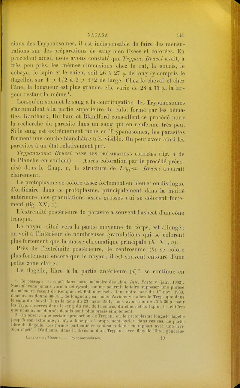 sions des Trypanosomes, il est indispensable de faire des mensu- rations sur des i)réparations de sang bien fixées et colorées. En procédant ainsi, nous avons constaté ([ue Trypan. Brucei avait, à très peu près, les mêmes dimensions chez le rat, la souris, le cobaye, le lapin et le chien, soit 26 à 27 [jl de long (y compris le flagelle), sur 1 tj. 1/2 à 2 [j. 1/2 de large. Chez le cheval et chez l'àne, la longueur est plus grande, elle varie de 28 à 33 [jl, la lar- geur restant la même Lorsqu'on soumet le sang à la centrifugation, les Trypanosomes s'accumulent à la partie supérieure du culot formé par les héma- ties. Kanthack, Durham et Blandford conseillent ce procédé pour la recherche du parasite dans un sang qui en renferme très peu. Si le sang est extrêmement riche en Trypanosomes, les parasites forment une couche blanchâtre très visible. On peut avoir ainsi les parasites à un état relativement pur. Tvypanosoma Brucei dans les préparations colorées (fîg. 4 de la Planche en couleur). — Après coloration par le procédé préco- nisé dans le Chap. n, la structure de Trypan. Brucei apparaît clairement. Le protoplasme se colore assez fortement en bleuet on distingue d'ordinaire dans ce protoplasme, principalement dans la moitié antérieure, des granulations assez grosses qui se colorent forte- ment (fig. XV, 1). L'extrémité postérieure du parasite a souvent l'aspect d'un cône tronqué. Le noyau, situé vers la partie moyenne du corps, est allongé; on voit à l'intérieur de nombreuses granulations qui se colorent plus fortement que la masse chromatique principale (X Y, , a). Près de l'extrémité postérieure, le centrosome {b) se colore plus fortement encore que le noyau ; il est souvent entouré d'une petite zone claire. Le flagelle, libre à la partie antérieure {d) \ se continue en 1. Ce passage est copié dans notre mémoire des Ann. Inst. Pasteur (jnnv. 1902). Nous n'avons jamais varié à cet égard, comme pourrait le faire supposer une phrase du mémoire récent de Kcmpner et RabinowiLsch. Dans notre note du 17 nov. 1900, nous avons donné 30-IJ4 jj, de longueur, car nous n'avions vu alors le Trj p. que dans le sang du cheval. Dans la note du 23 mars 1901, nous avons donné 2.j à 30 |x. pour les Trvp. observés dans le sang du rat, de la souris, du chien et du lapin; les chiiïres que nous avons donnés depuis sont plus précis simplement. 2. On observe une certaine proportion de Trypan. où le protoplasme longe le (logelle jusqu'à son extrémité; il n'y a donc pas h proiircrncnt parler, dans ces cas, de juirtie libre flu flagelle. Ces formes particulières sont sans douLi- en rapport avec une divi- sion répétée. D'ailleurs, dans la division d'un Try|)an. avec llagello libre, générale- L-vvERAN et Mbsnil. — Trypanosomiasos. 10