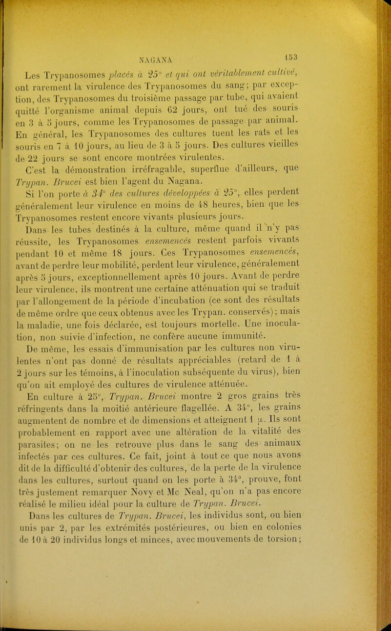 Les Trypanosomes places à '25' et qui ont véritablement cultivé, ont rarement la virulence des Trypanosomes du sang; par excep- tion, des Trypanosomes du troisième passage par tube, qui avaient quitté l'organisme animal depuis 62 jours, ont tué des souris on 3 cà 5 jours, comme les Trypanosomes de passage [)ar animal. En général, les Trypanosomes des cultures tuent les rats et les souris en 7 à 10 jours, au lieu de 3 à 5 jours. Des cultures vieilles de 22 jours se sont encore montrées virulentes. C'est la démonstration irréfragable, superflue d'ailleurs, que Trijpan. Brucei est bien l'agent du Nagana. Si l'on porte à 34 des cultitres développées à ^25, elles perdent sénéralement leur virulence en moins de 48 heures, bien que les Trypanosomes restent encore vivants plusieurs jours. Dans les tubes destinés à la culture, même quand il n'y pas réussite, les Trypanosomes ensemencés restent parfois vivants pendant 10 et même 18 jours. Ces Trypanosomes ensemencés, avant de perdre leur mobilité, perdent leur virulence, généralement après 5 jours, exceptionnellement après 10 jours. Avant de perdre leur virulence, ils montrent une certaine atténuation qui se traduit par l'allongement de la période d'incubation (ce sont des résultats de même ordre que ceux obtenus avec les Trypan. conservés) ; mais la maladie, une fois déclarée, est toujours mortelle. Une inocula- tion, non suivie d'infection, ne confère aucune immunité. De même, les essais d'immunisation par les cultures non viru- lentes n'ont pas donné de résultats appréciables (retard de 1 à 2 jours sur les témoins, à l'inoculation subséquente du virus), bien qu'on ait employé des cultures de virulence atténuée. En culture à 25°, Trypan. Brucei montre 2 gros grains très réfringents dans la moitié antérieure flagellée. A 34°, les grains augmentent de nombre et de dimensions et atteignent 1 [j.. Ils sont probablement en rapport avec une altération de la vitalité des parasites ; on ne les retrouve plus dans le sang des animaux infectés par ces cultures. Ce fait, joint à tout ce que nous avons dit de la difficulté d'obtenir des cultures, de la perte de la virulence dans les cultures, surtout quand on les porte à 34°, prouve, font très justement remarquer Novy et Me Neal, qu'on n'a pas encore réalisé le milieu idéal pour la culture de Trypan. Brucei. Dans les cultures de Trypan. Brucei, les individus sont, ou bien unis par 2, par les extrémités postérieures, ou bien en colonies de 10 à 20 individus longs et minces, avec mouvements de torsion;